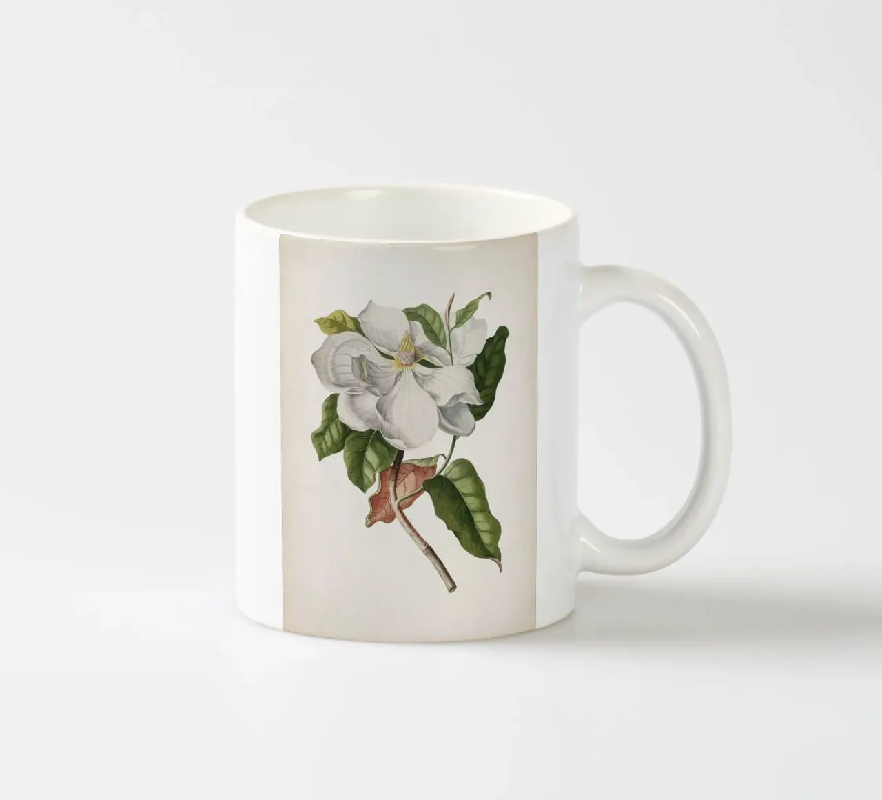 Vintage Ehret 4 Magnolia Maximo tazza in ceramica da Vintage Print Collection