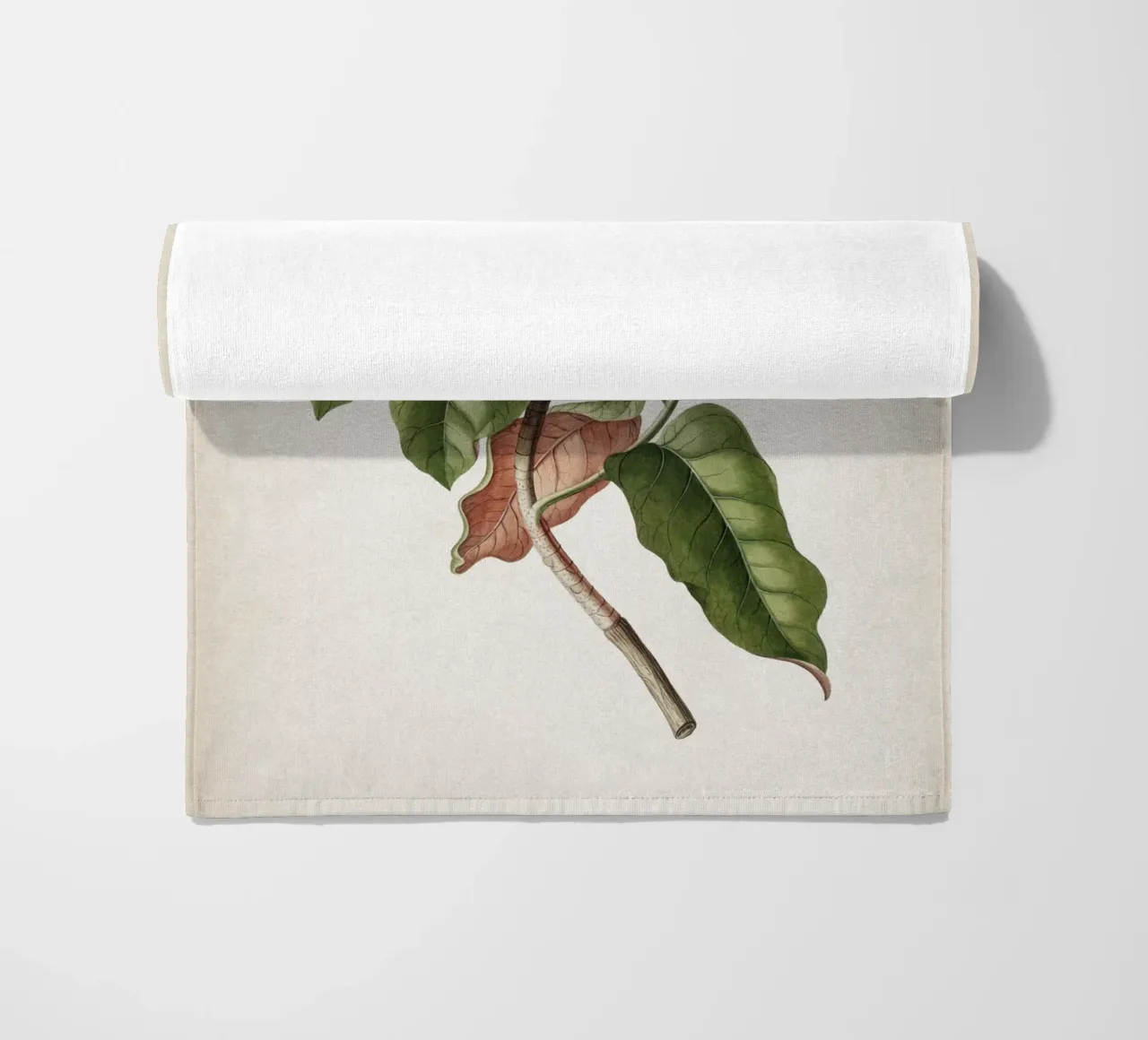 Vintage Ehret 4 Magnolia Maximo telo mare da Vintage Print Collection