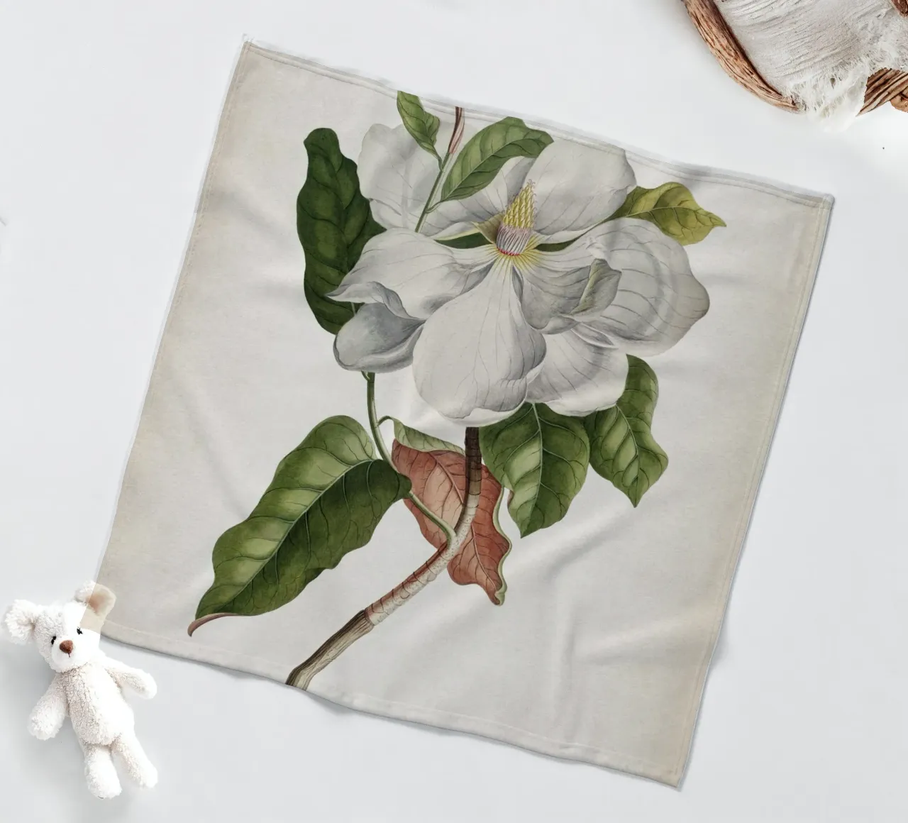 Vintage Ehret 4 Magnolia Maximo coperta in pile da Vintage Print Collection