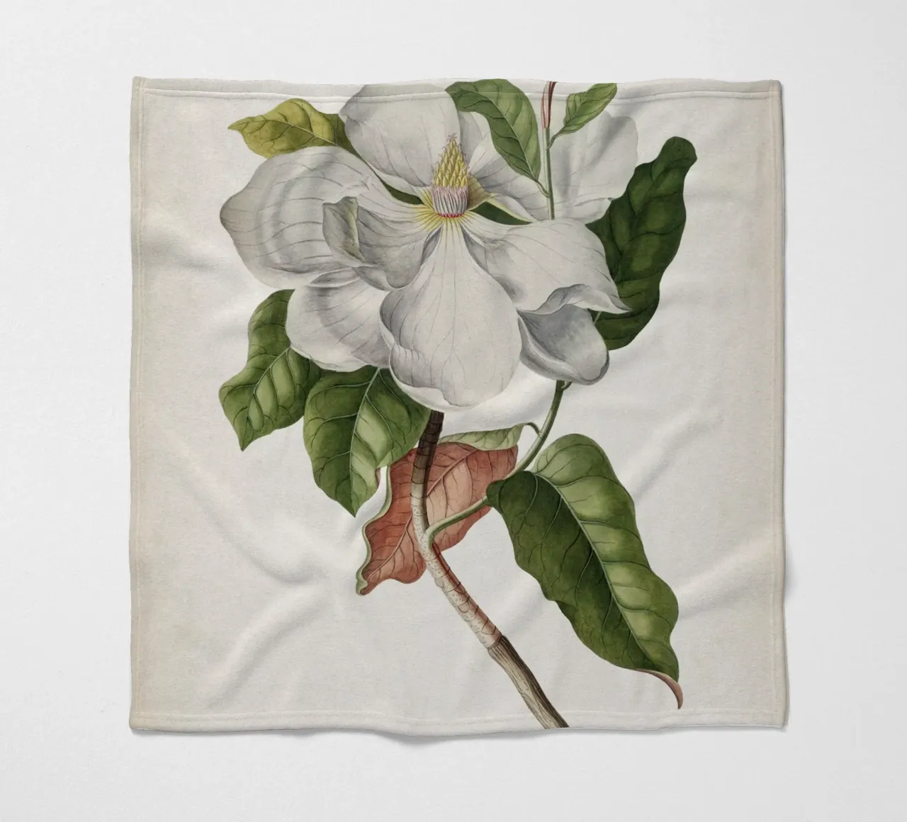 Vintage Ehret 4 Magnolia Maximo coperta in pile da Vintage Print Collection