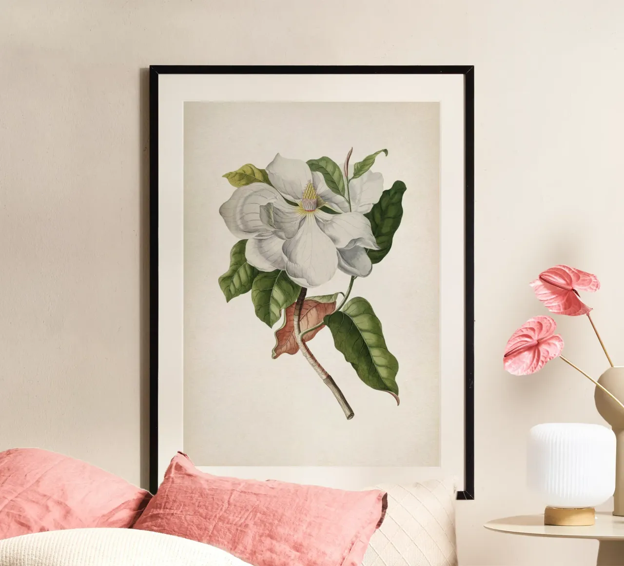 Vintage Ehret 4 Magnolia Maximo carta hahnemühle da Vintage Print Collection