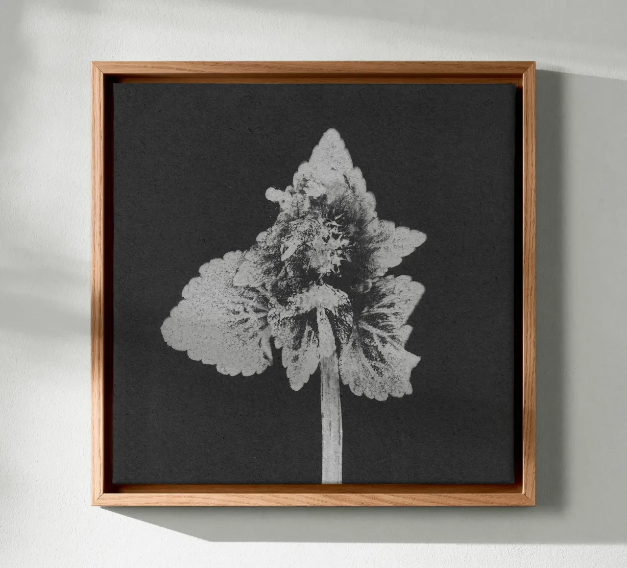 Impressioni botaniche | Lamium purpureum v5 tela con Cornice a cassetta da Ivona Maris