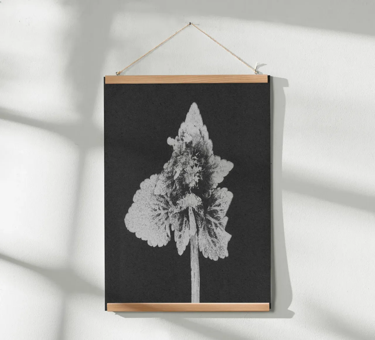 Impressioni botaniche | Lamium purpureum v5 poster da Ivona Maris