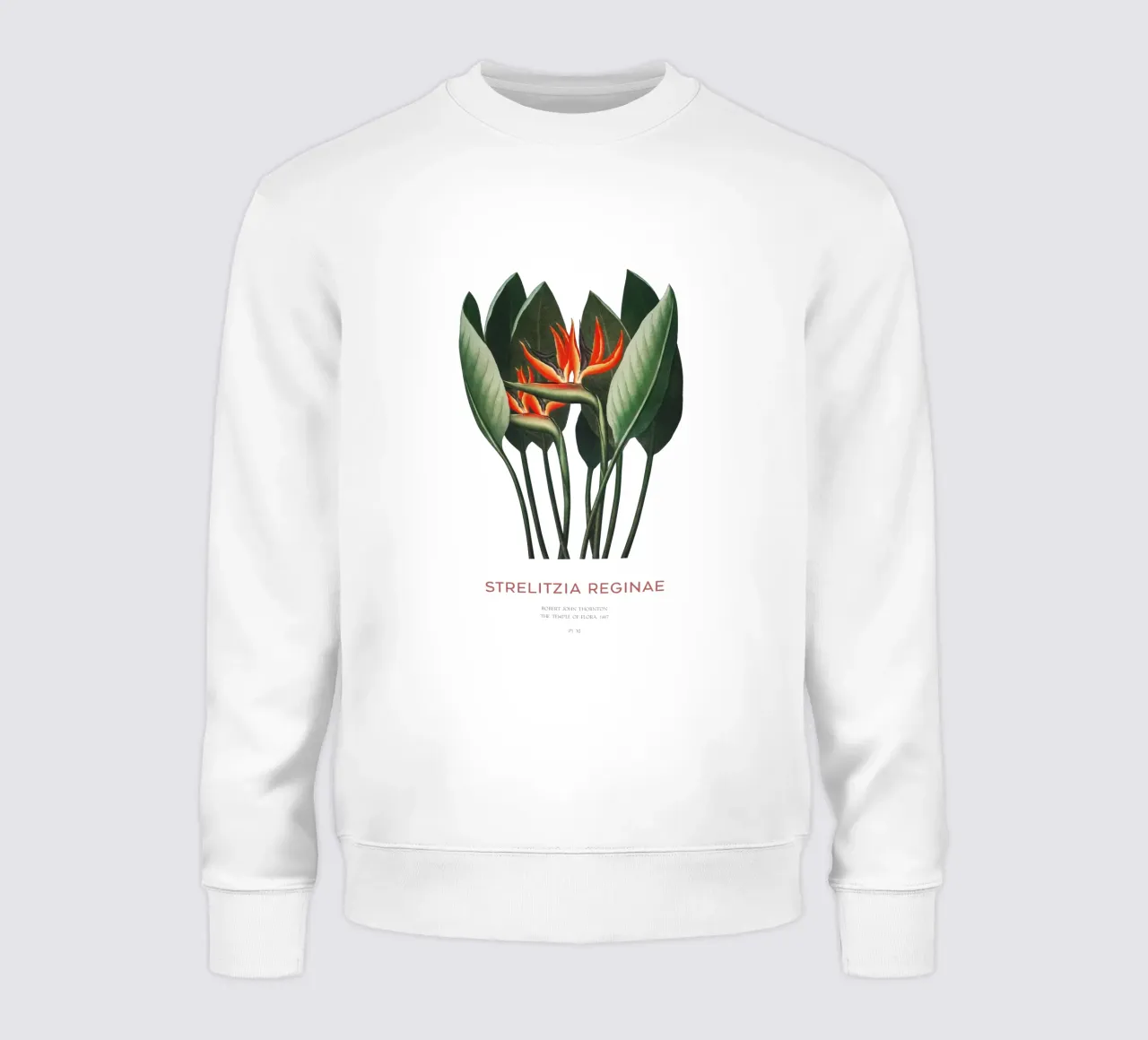 Pianta di fiori di uccello del paradiso felpa da Vintagrafica