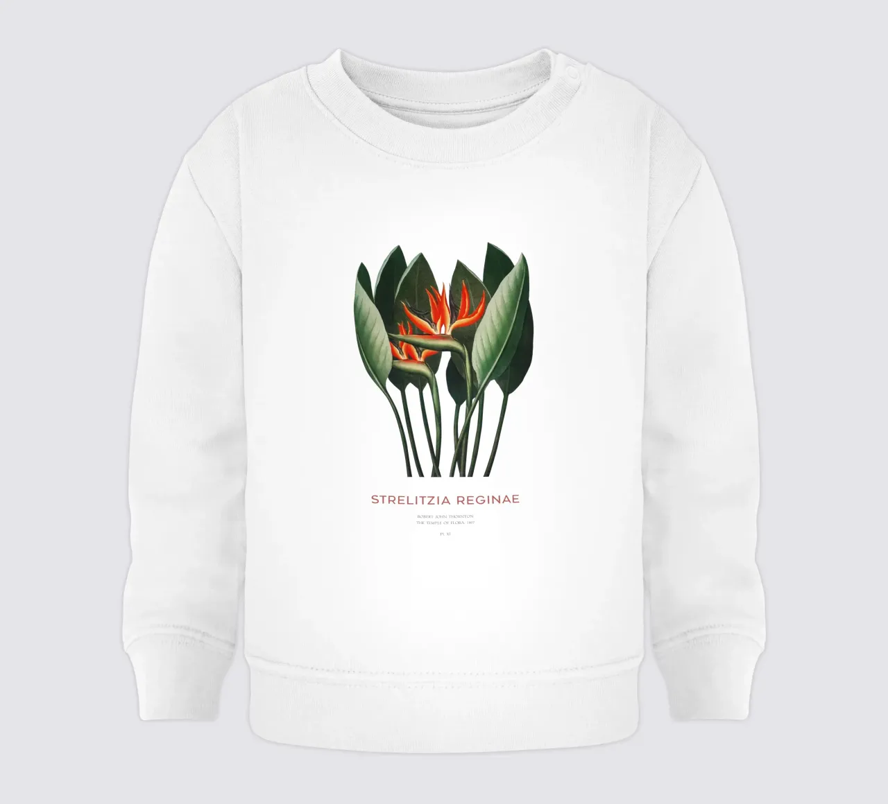 Pianta di fiori di uccello del paradiso felpa neonato da Vintagrafica