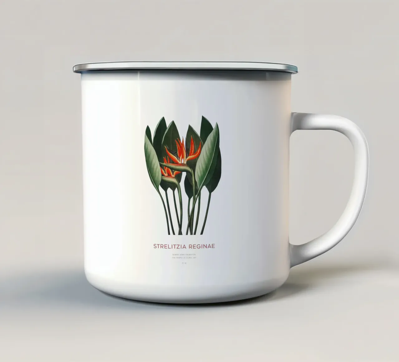 Pianta di fiori di uccello del paradiso tazza in smalto da Vintagrafica