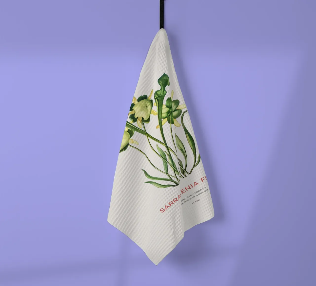 Plante sarracénie jaune Art botanique minimaliste torchon de Vintagrafica