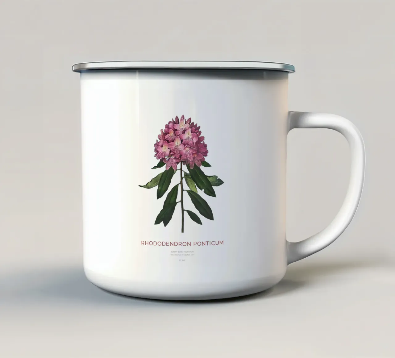 Disegno botanico del fiore di rododendro rosa tazza in smalto da Vintagrafica