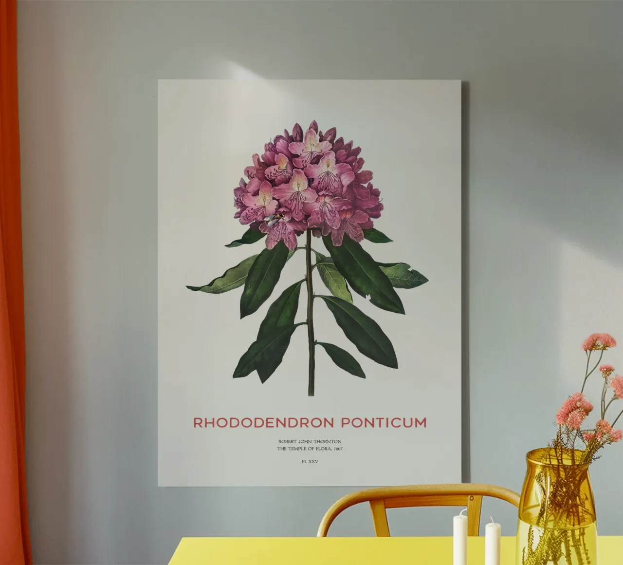 Disegno botanico del fiore di rododendro rosa tela con Cornice a cassetta da Vintagrafica