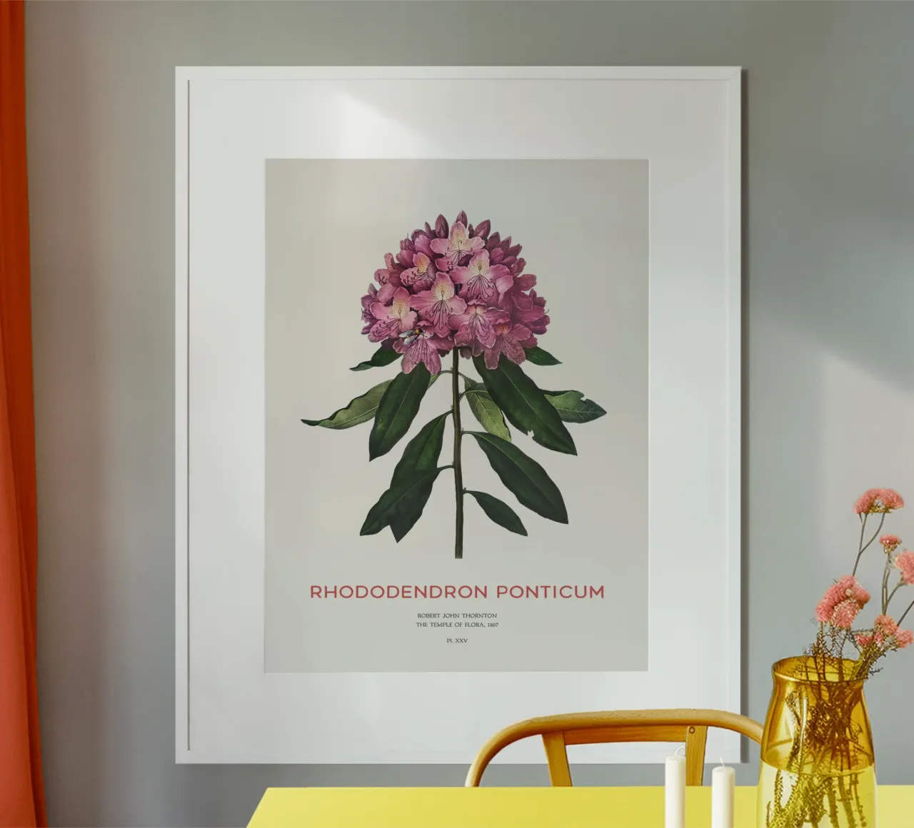 Disegno botanico del fiore di rododendro rosa poster con telaio in alluminio da Vintagrafica