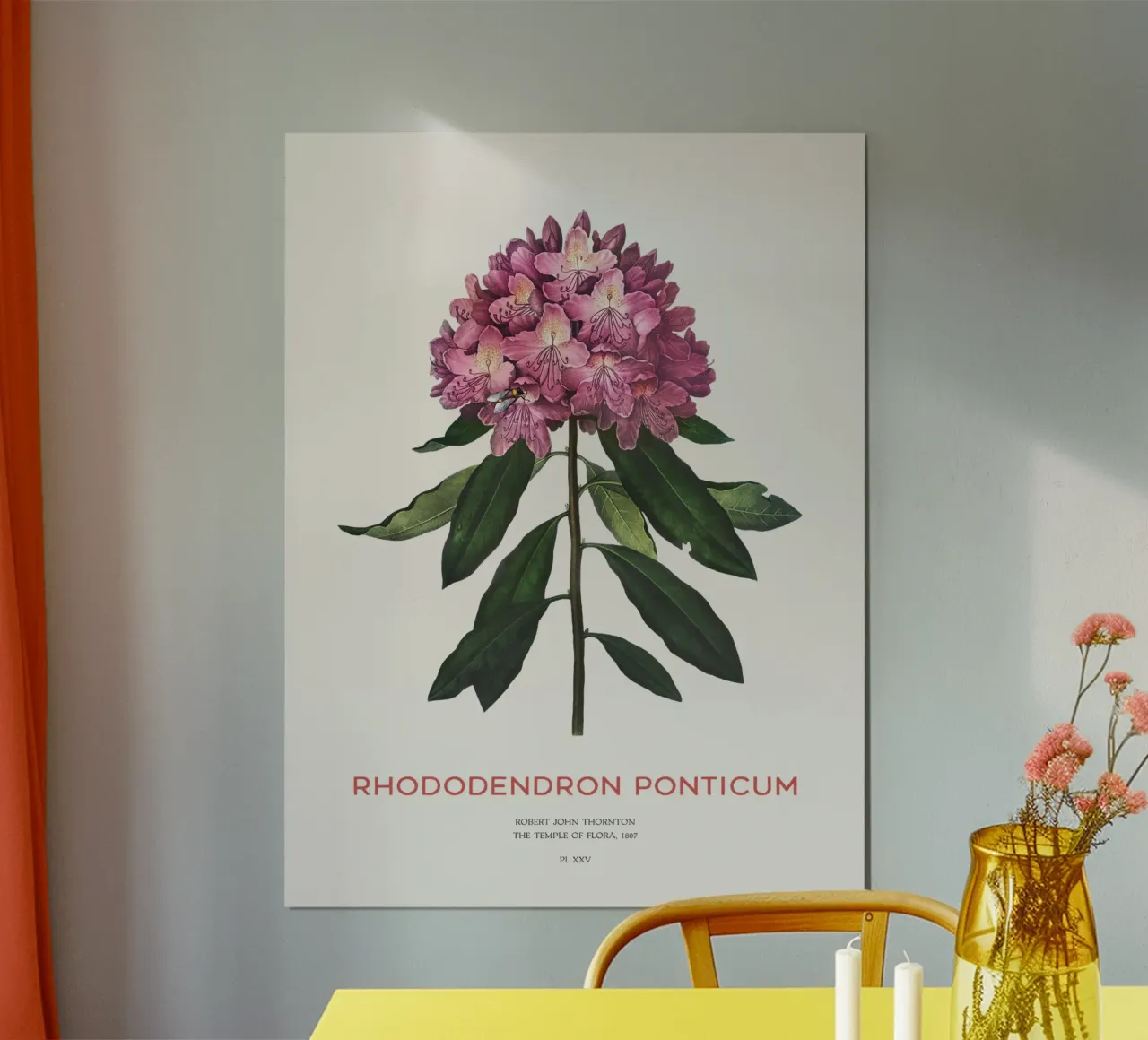 Disegno botanico del fiore di rododendro rosa poster con telaio in alluminio da Vintagrafica