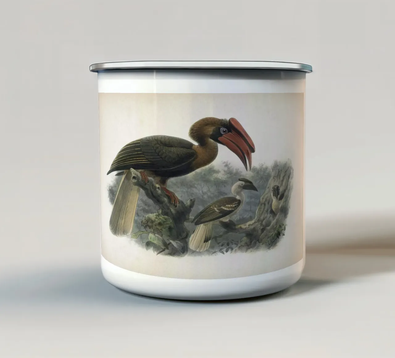 Vintage Keulemans 2 Hydrocorax Planicornis tazza in smalto da Vintage Print Collection