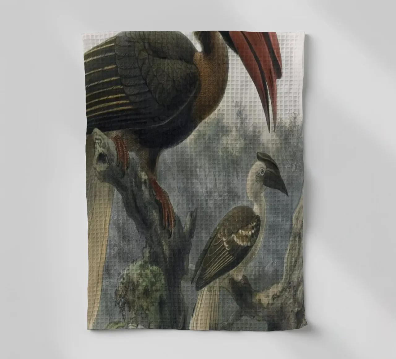 Vintage Keulemans 2 Hydrocorax Planicornis canovaccio da cucina da Vintage Print Collection