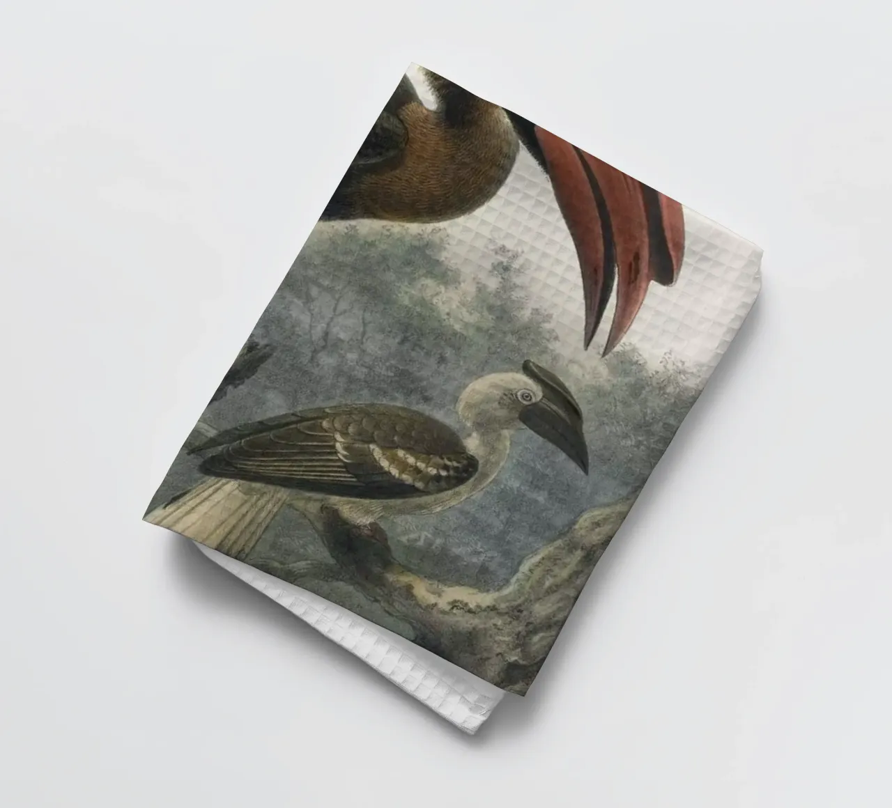 Vintage Keulemans 2 Hydrocorax Planicornis canovaccio da cucina da Vintage Print Collection