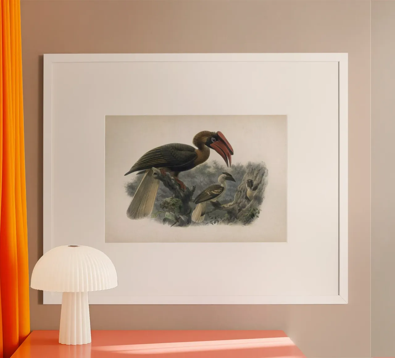 Vintage Keulemans 2 Hydrocorax Planicornis carta hahnemühle da Vintage Print Collection
