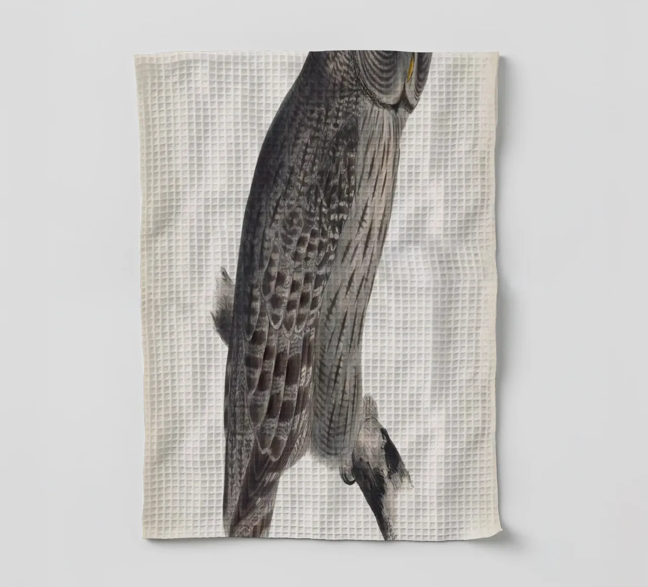 Vintage Lear 2 Cinereous Owl tea towel by Vintage Print Collection