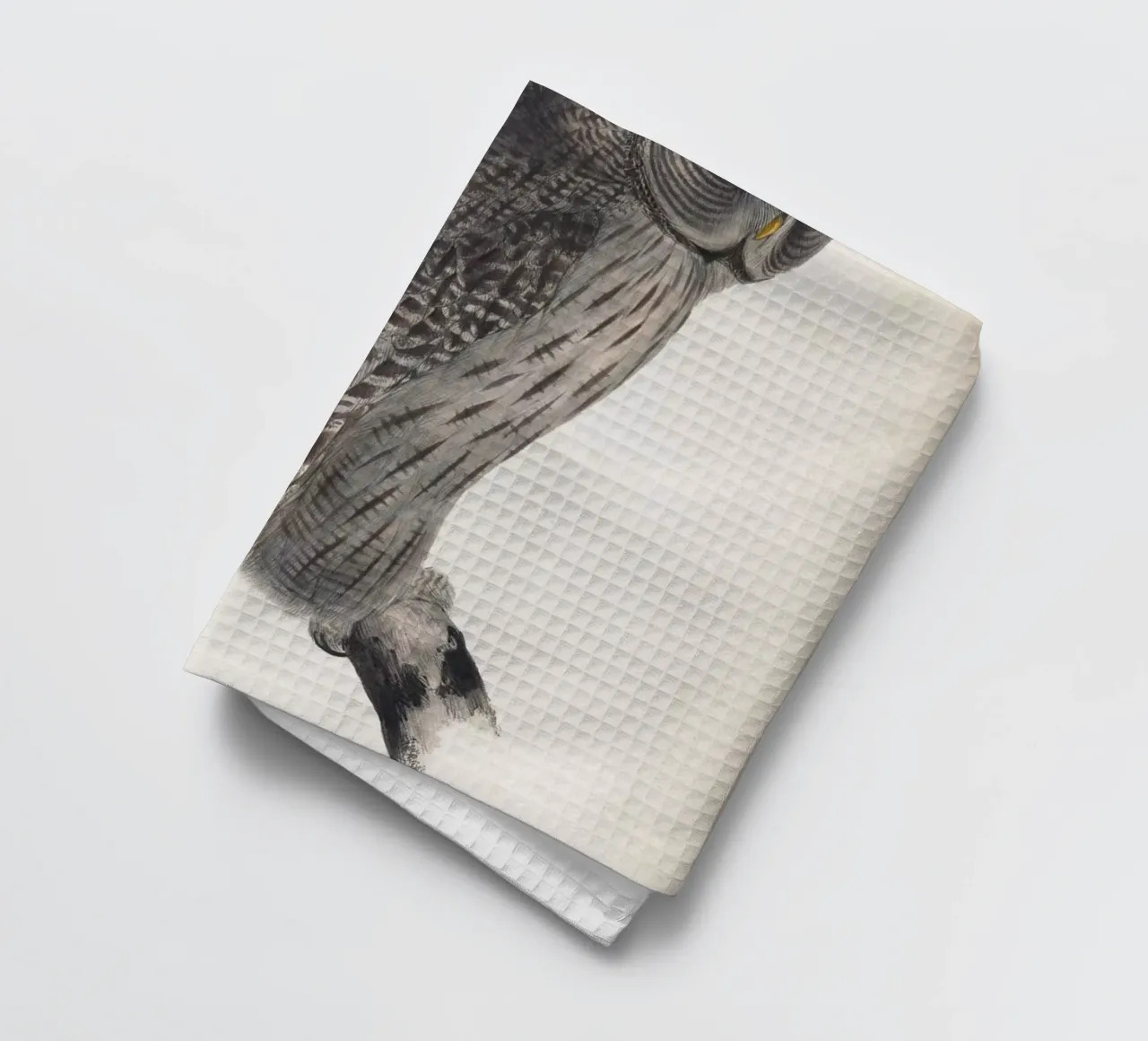 Vintage Lear 2 Cinereous Owl tea towel by Vintage Print Collection