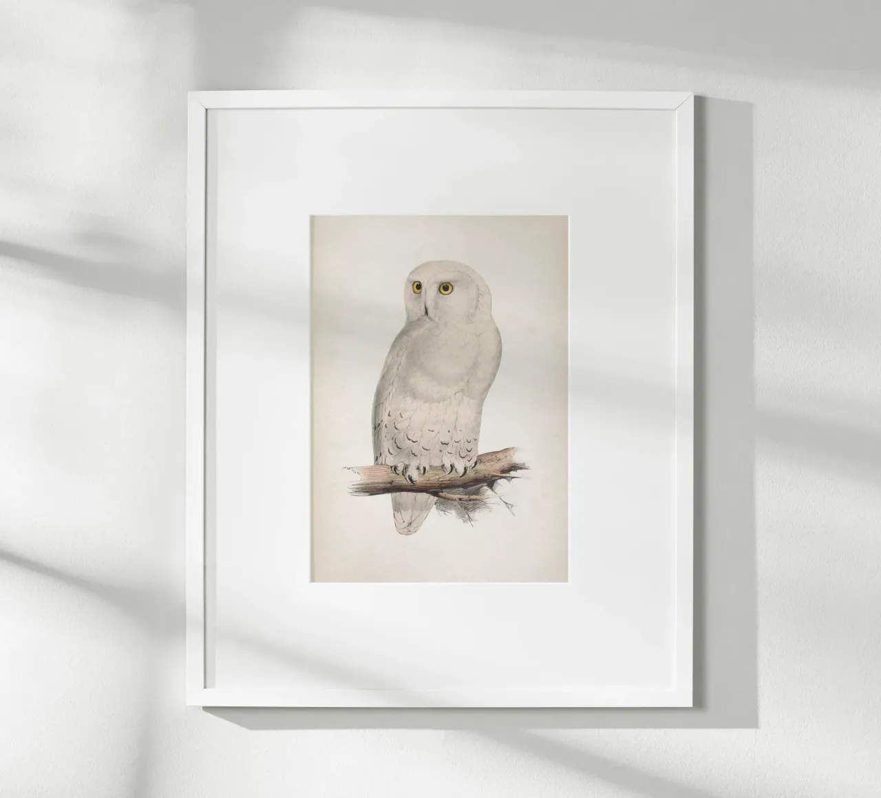 Vintage Lear 2 Snow Owl poster con telaio in legno da Vintage Print Collection