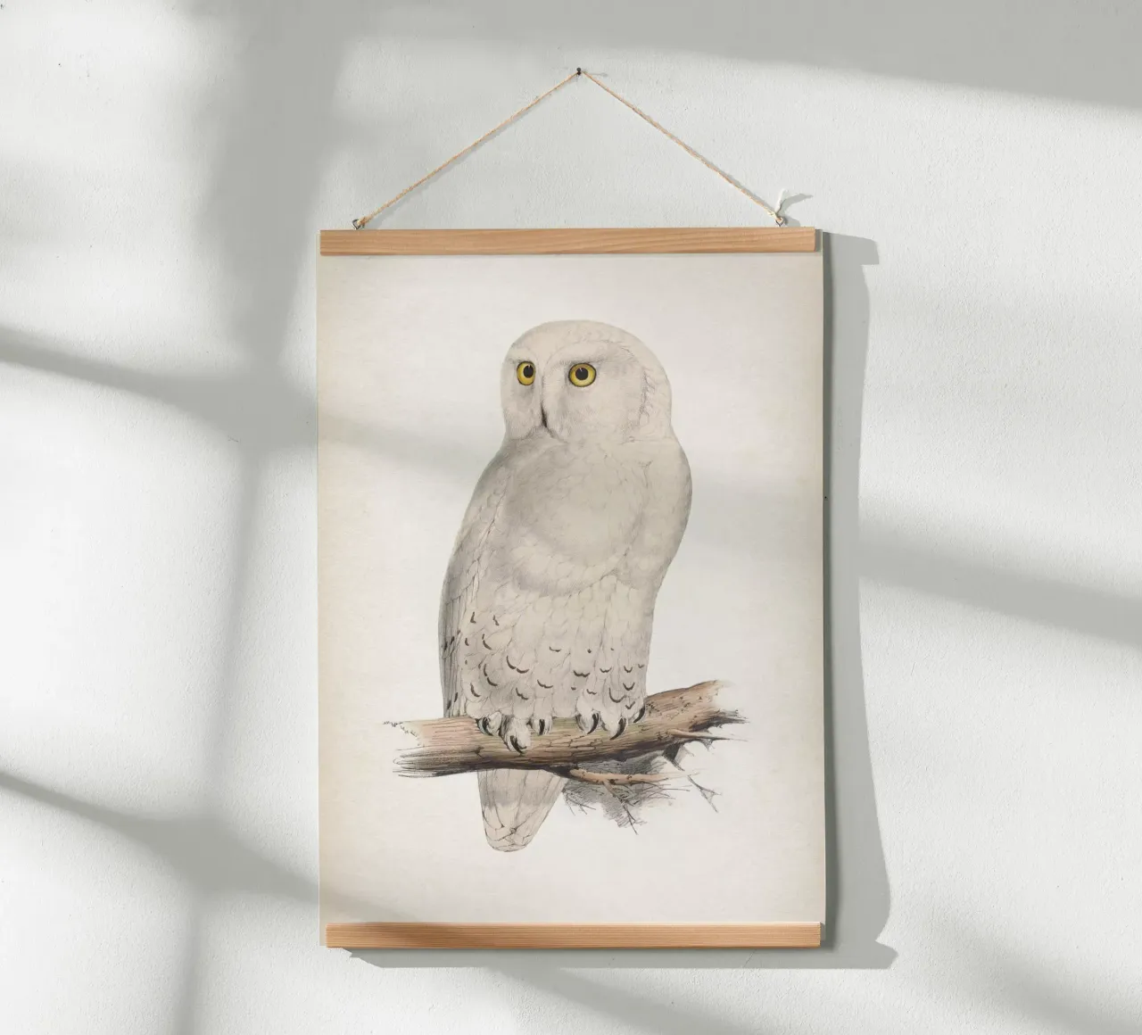 Vintage Lear 2 Snow Owl poster con telaio in legno da Vintage Print Collection