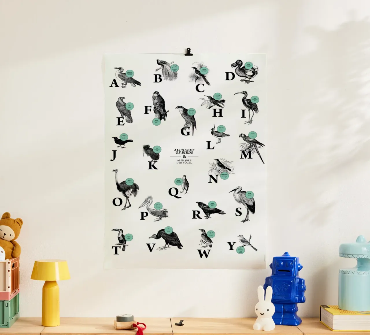 alphabet of birds, animal ABC poster con telaio in plastica da The True Type