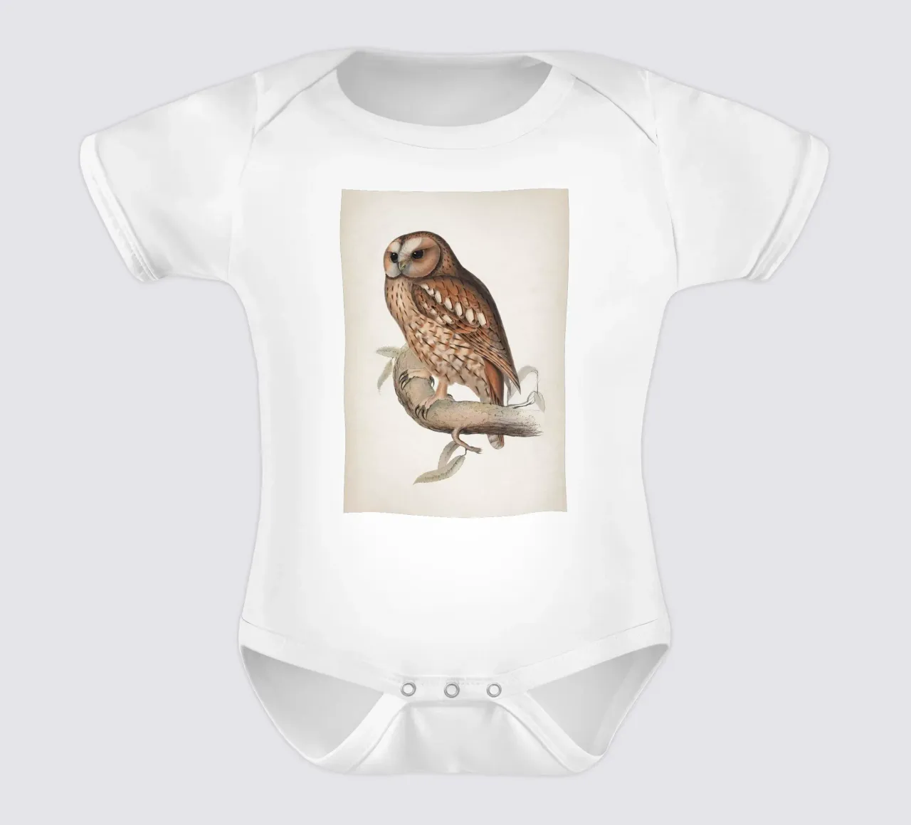 Vintage Lear 2 Wood Owl body neonato maniche corte da Vintage Print Collection
