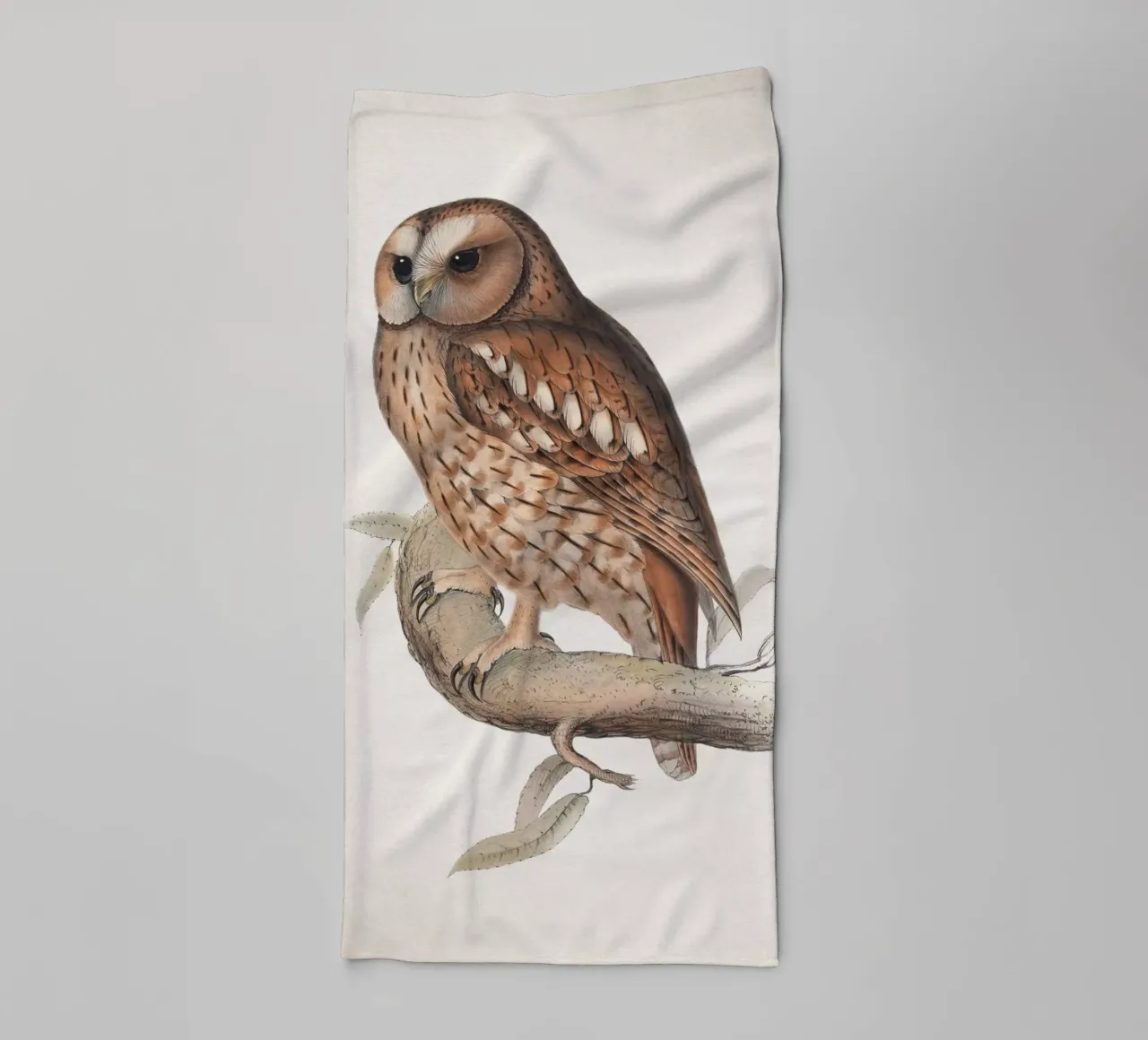 Vintage Lear 2 Wood Owl asciugamano da bagno da Vintage Print Collection