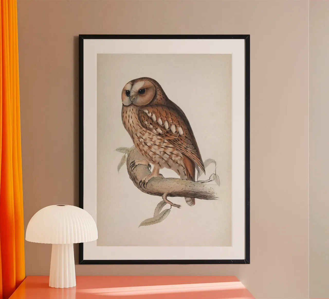 Vintage Lear 2 Wood Owl poster con telaio in legno da Vintage Print Collection