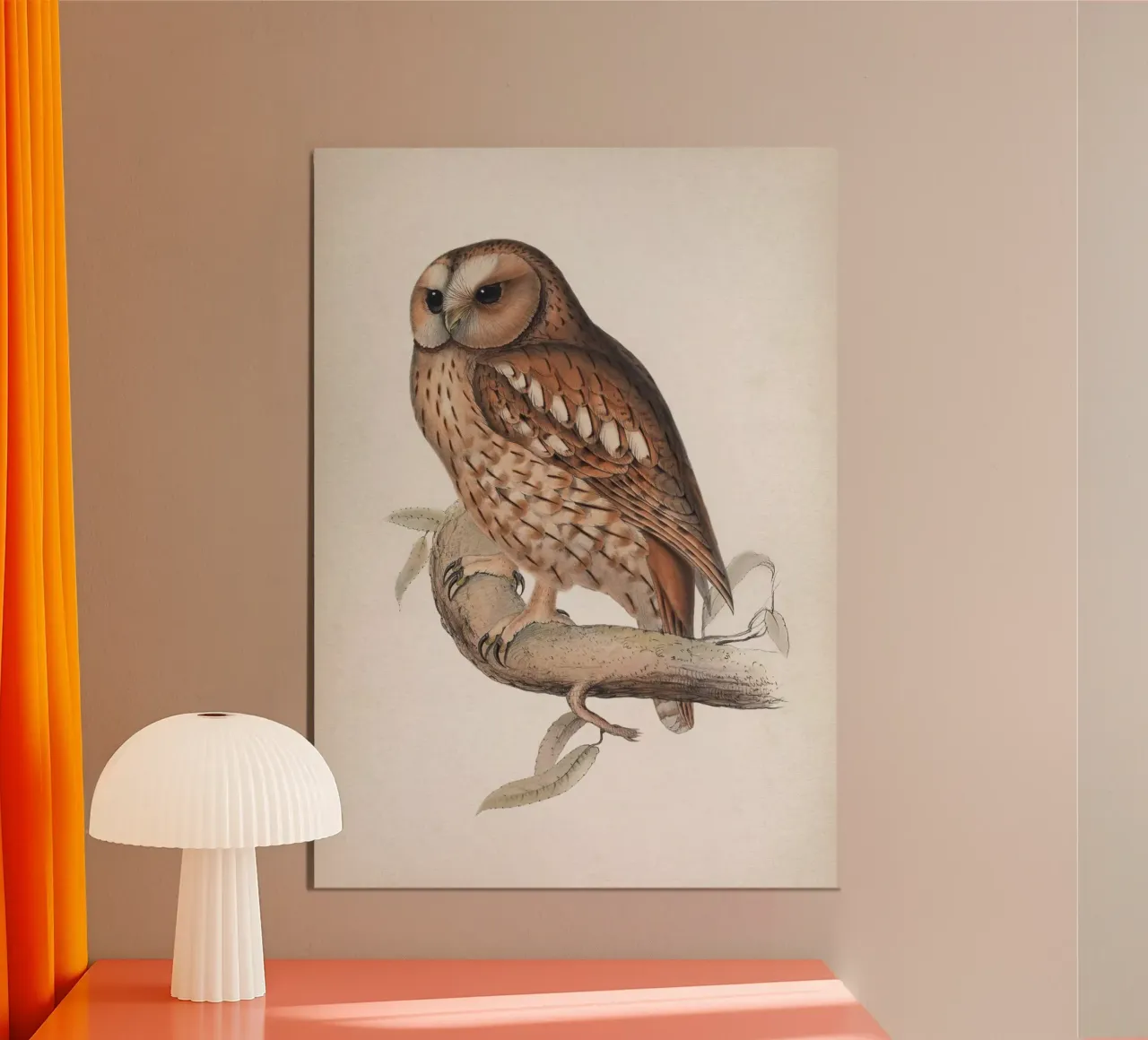 Vintage Lear 2 Wood Owl poster con telaio in legno da Vintage Print Collection