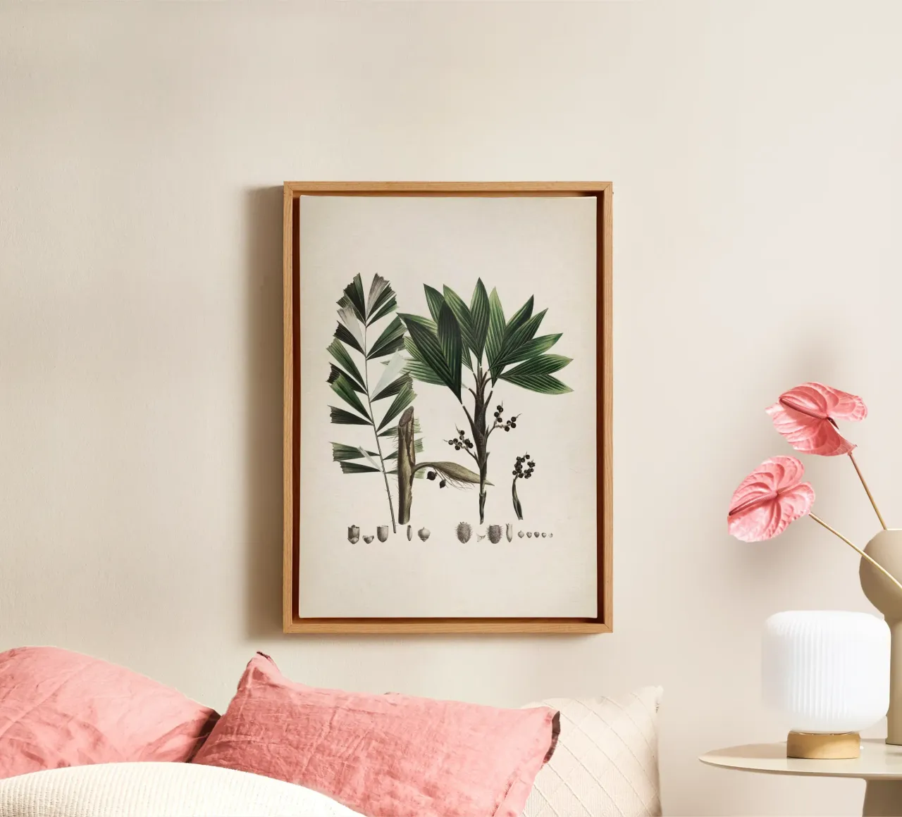 Vintage Martius 6 Bactris Hirta canvas with Floater frame by Vintage Print Collection