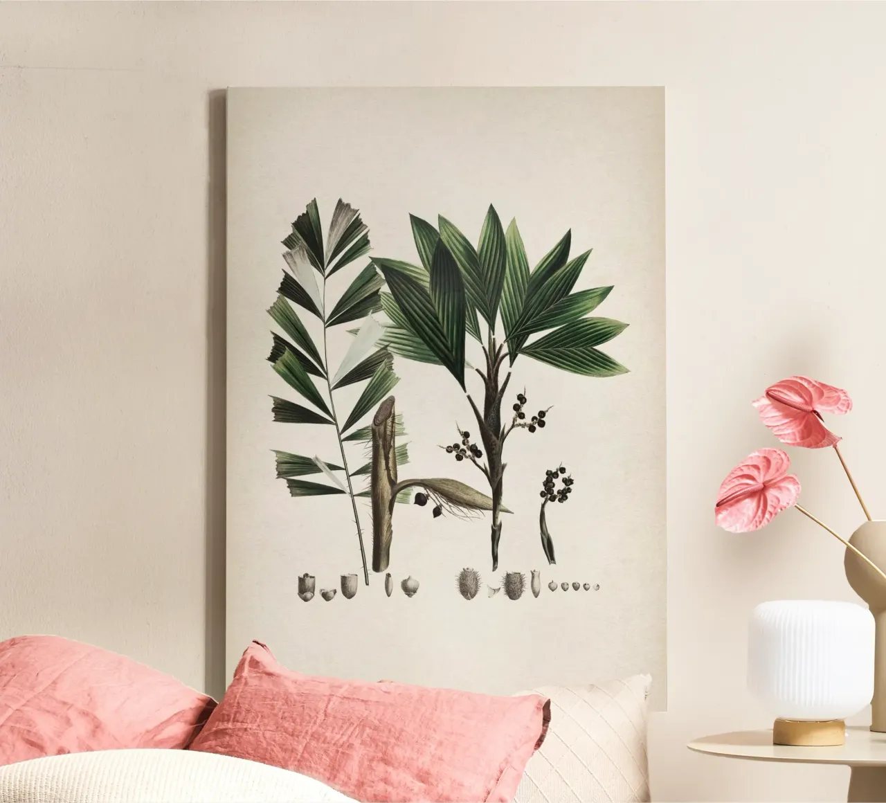 Vintage Martius 6 Bactris Hirta canvas with Floater frame by Vintage Print Collection