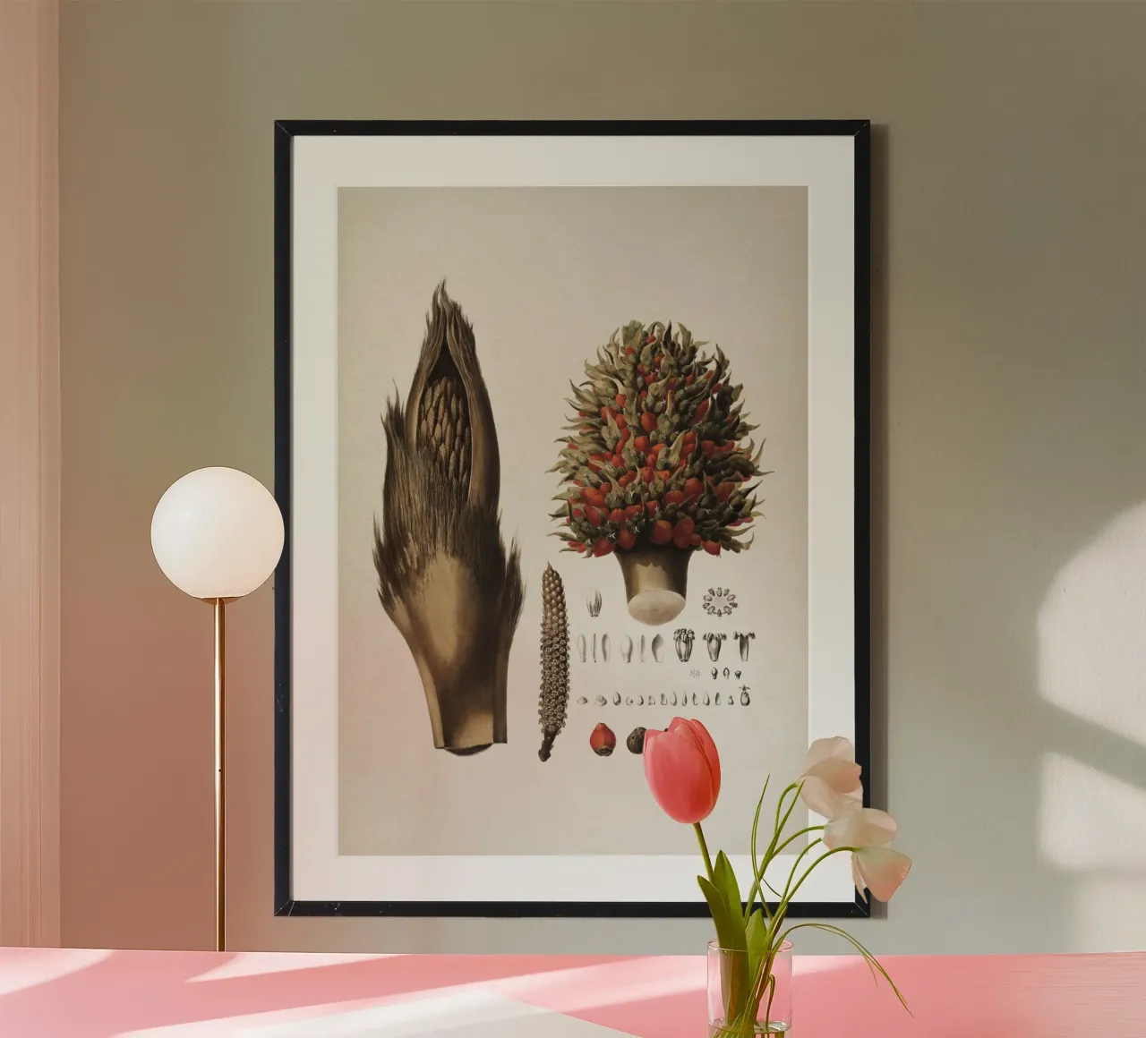 Vintage Martius 6 Elaeis Melanococca poster da Vintage Print Collection