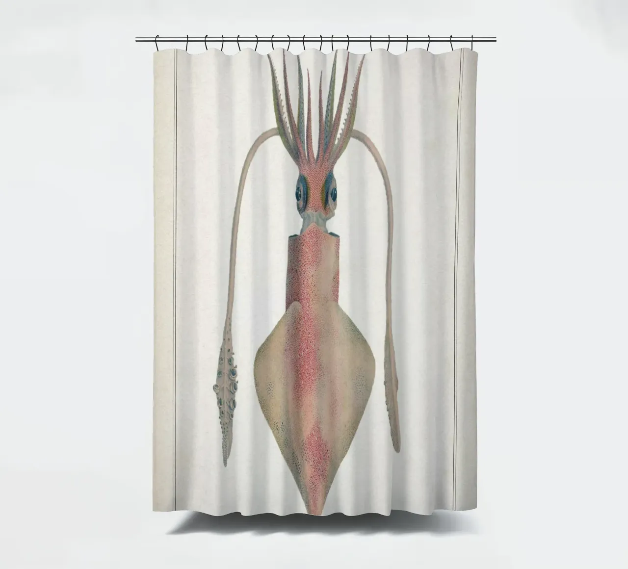 Vintage Vérany 2 Loligo Vulgaris shower curtain by Vintage Print Collection