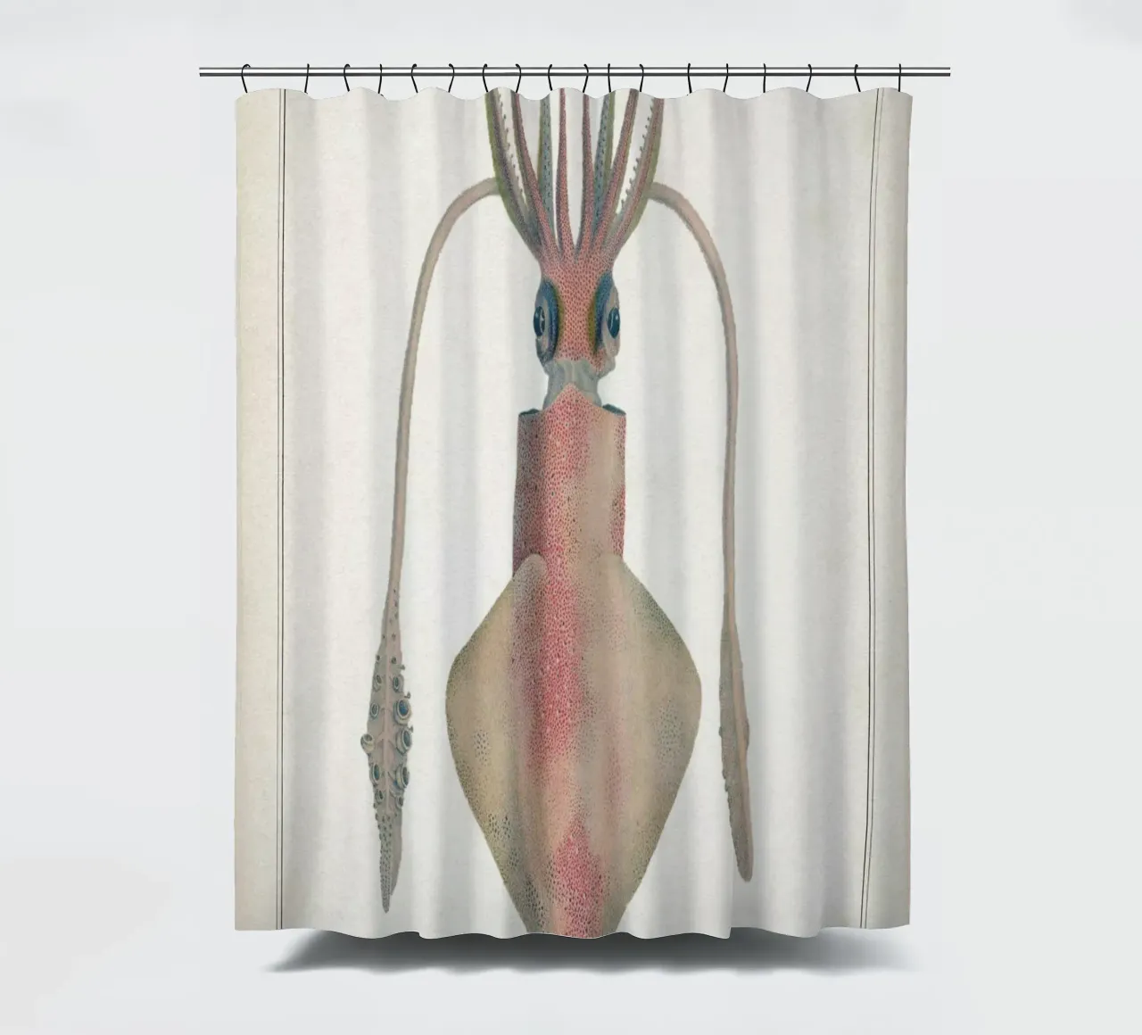 Vintage Vérany 2 Loligo Vulgaris shower curtain by Vintage Print Collection