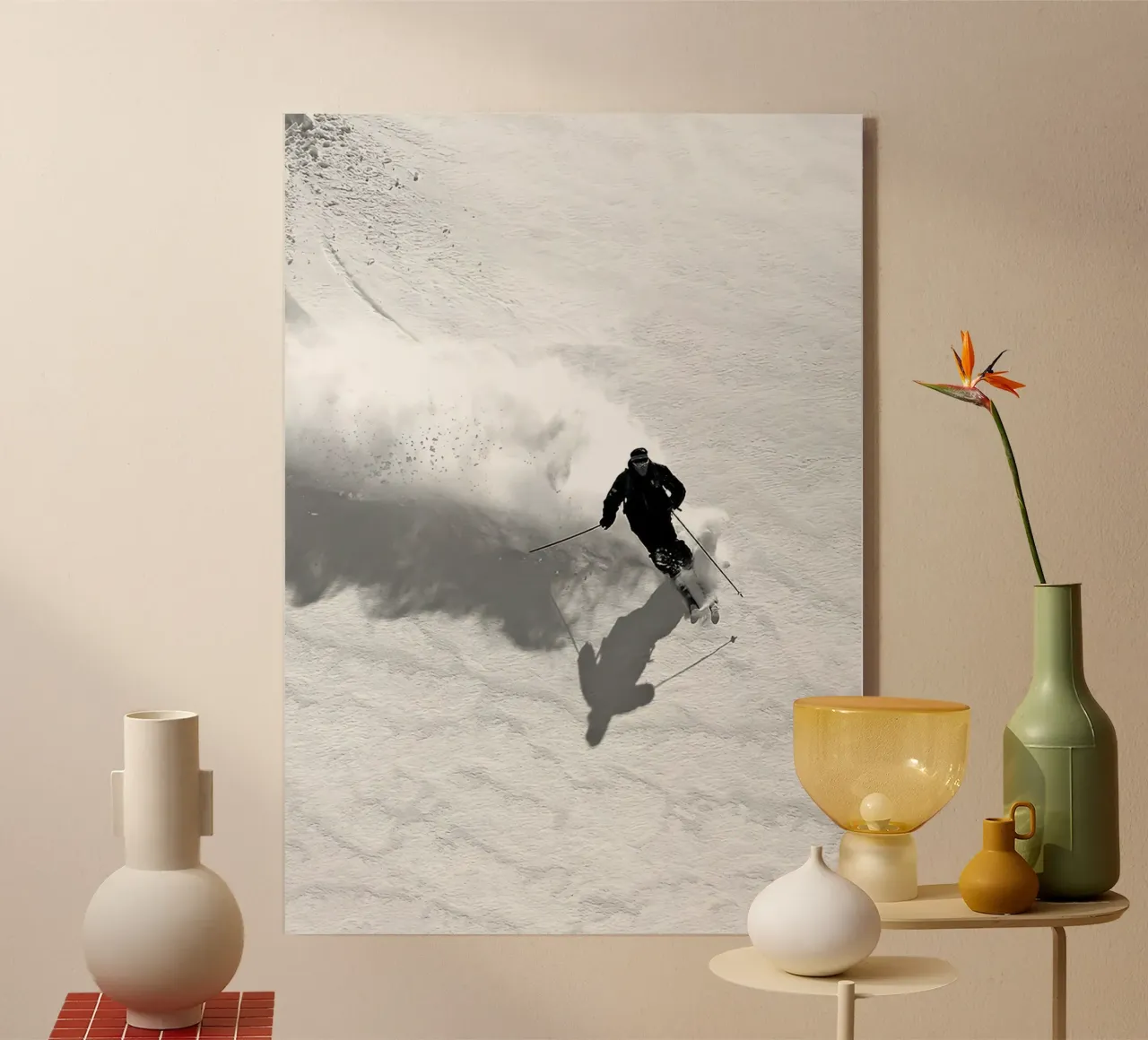 Sci di discesa plexiglass da World of Pearce