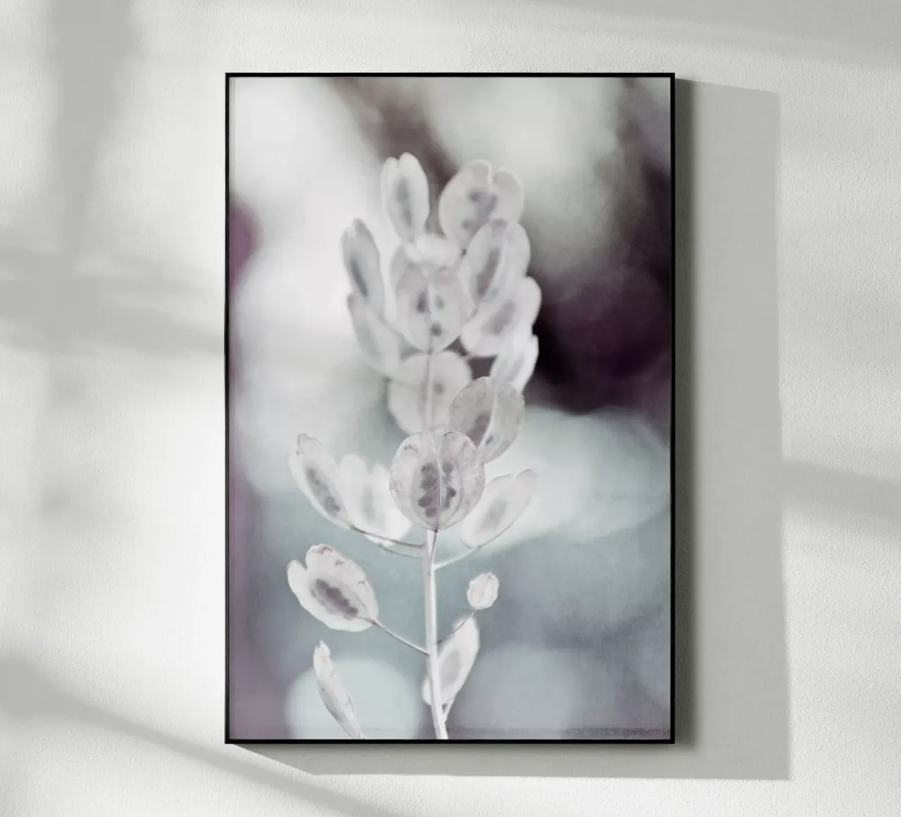 seeds plexiglass da Visuelle Poesie am Wegesrand