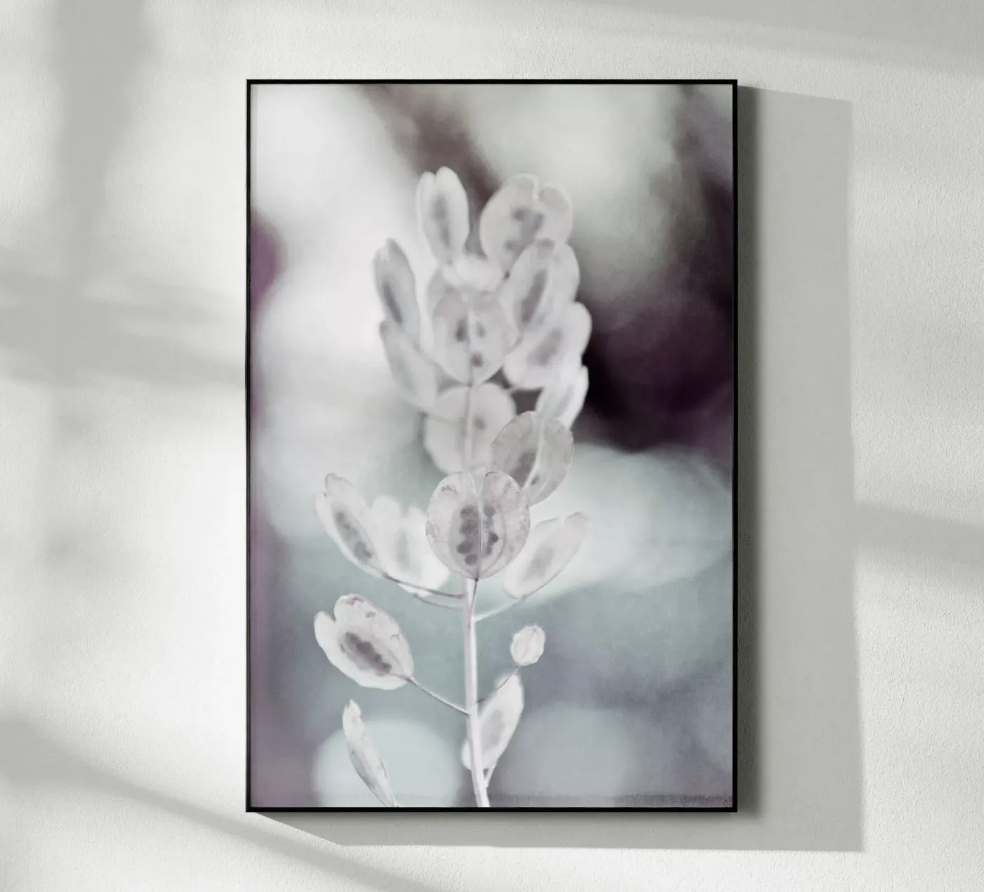 seeds plexiglas de Visuelle Poesie am Wegesrand