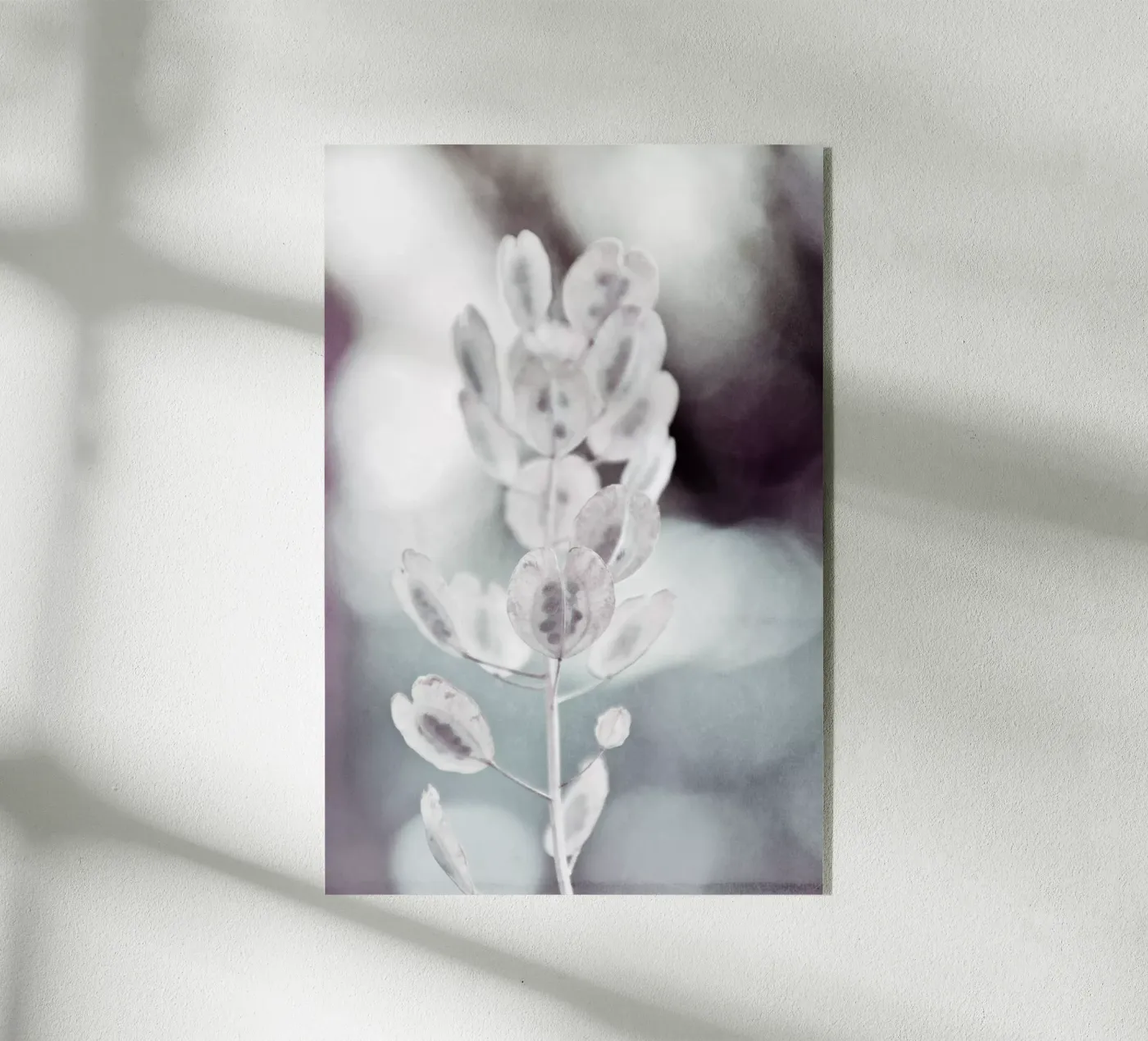 seeds plexiglas de Visuelle Poesie am Wegesrand