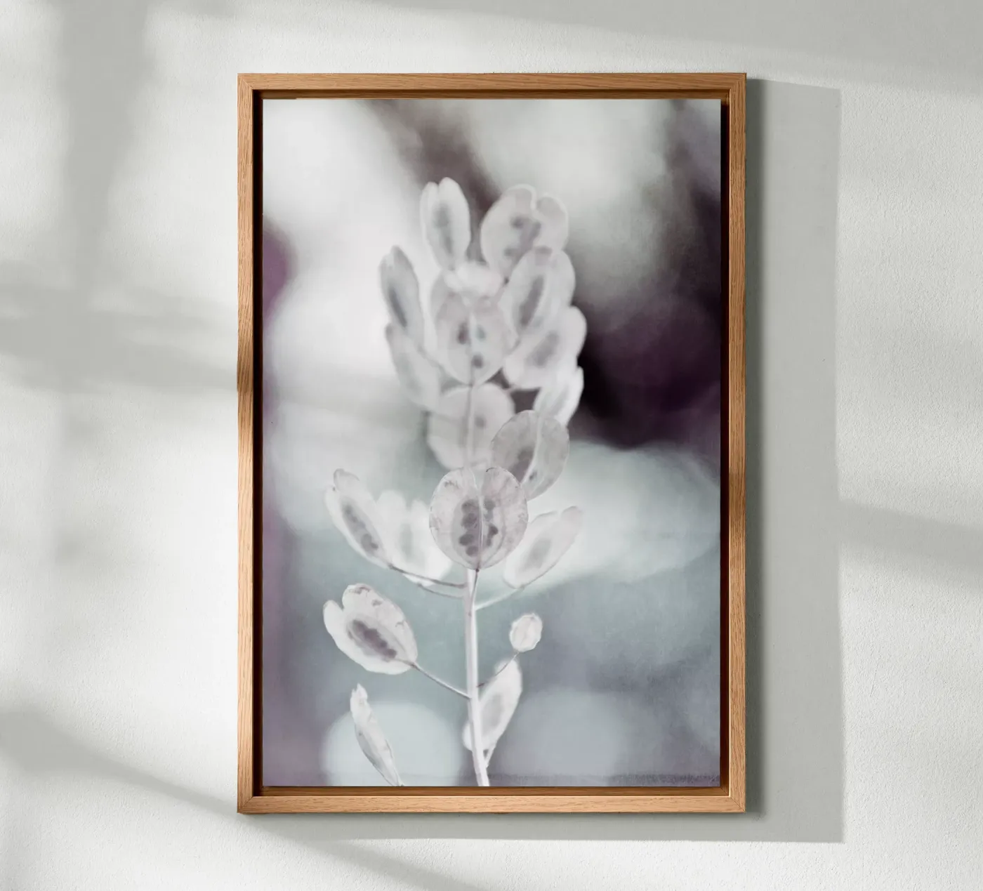 seeds pannello forex da Visuelle Poesie am Wegesrand