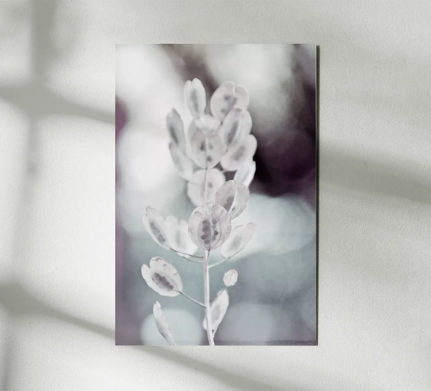 seeds pannello forex da Visuelle Poesie am Wegesrand