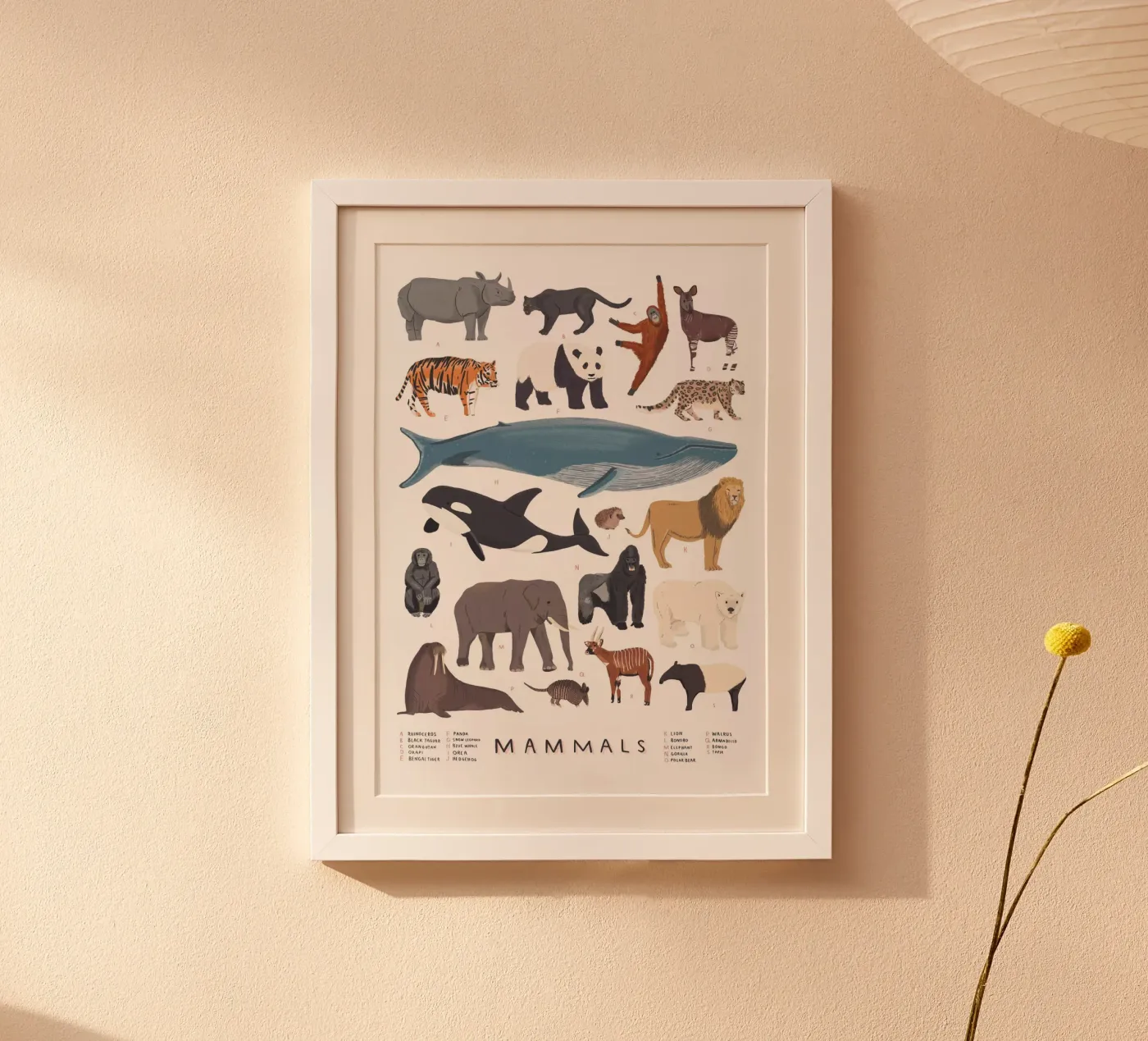 Mammiferi poster da Alex Foster