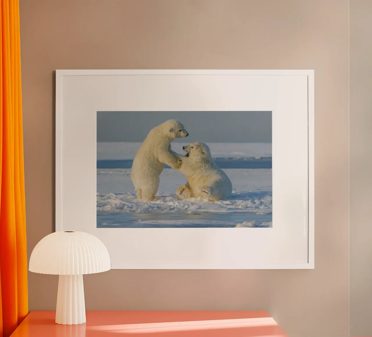 La delicata persuasione dell'orso artico poster da Nature's Palette