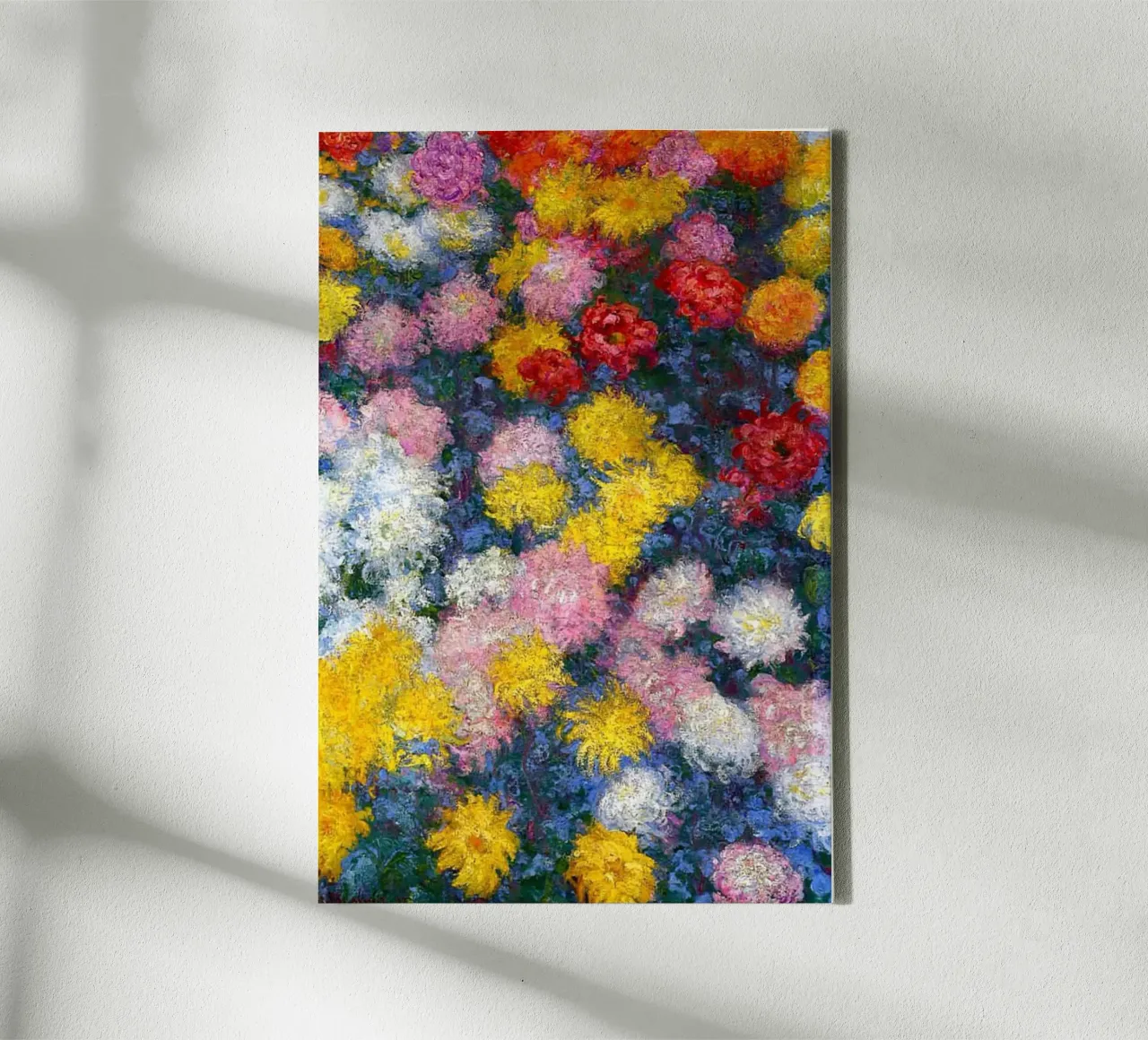 kleurrijke chrysanten canvas met Baklijst van belong shop
