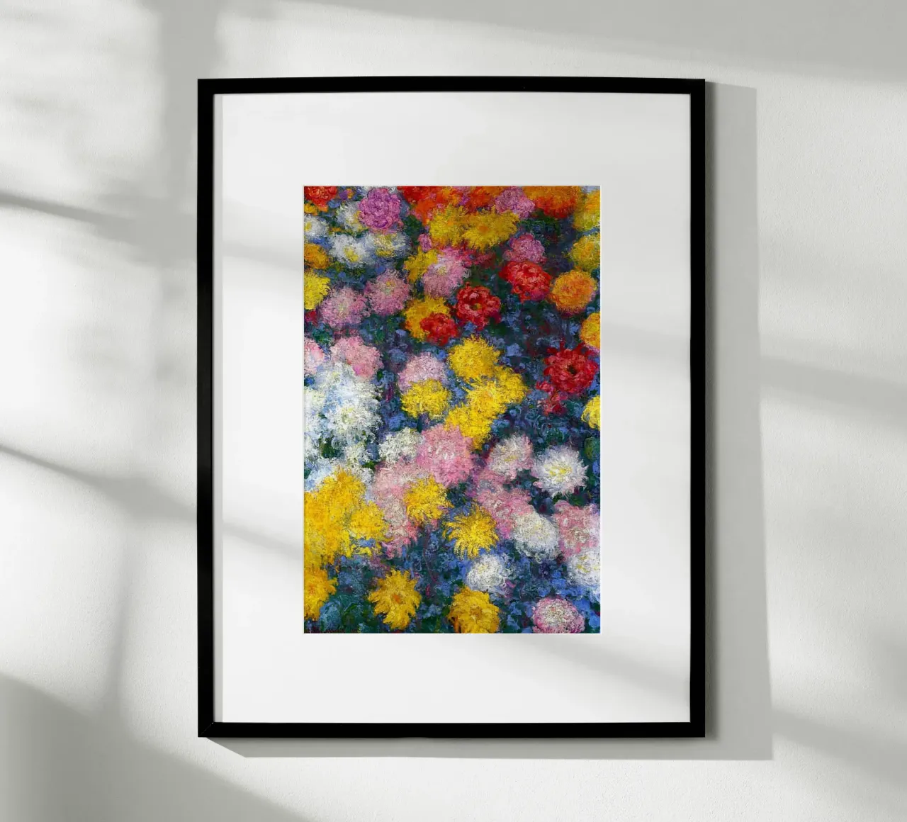 crisantemi colorati poster da belong shop