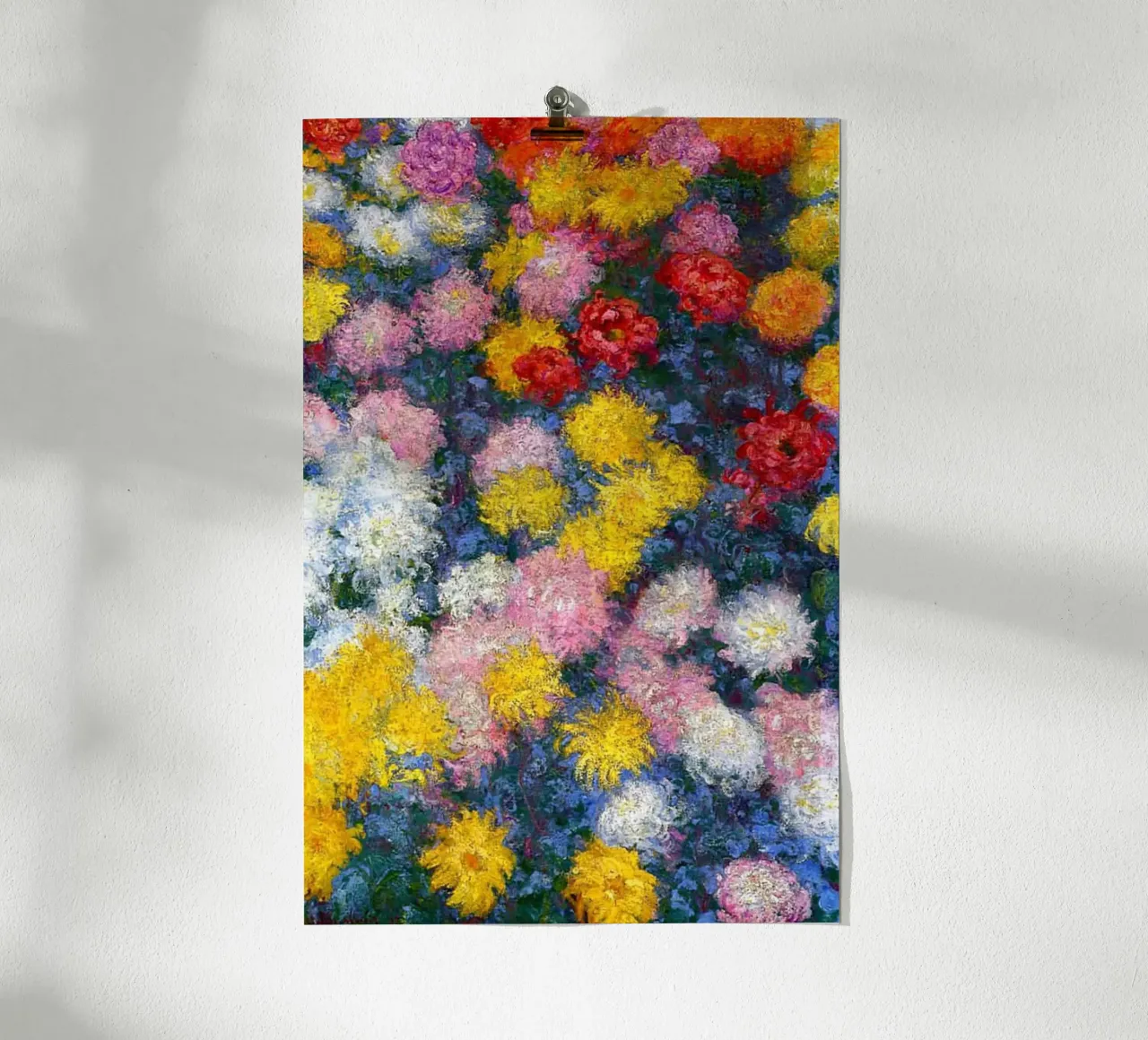 crisantemi colorati poster da belong shop