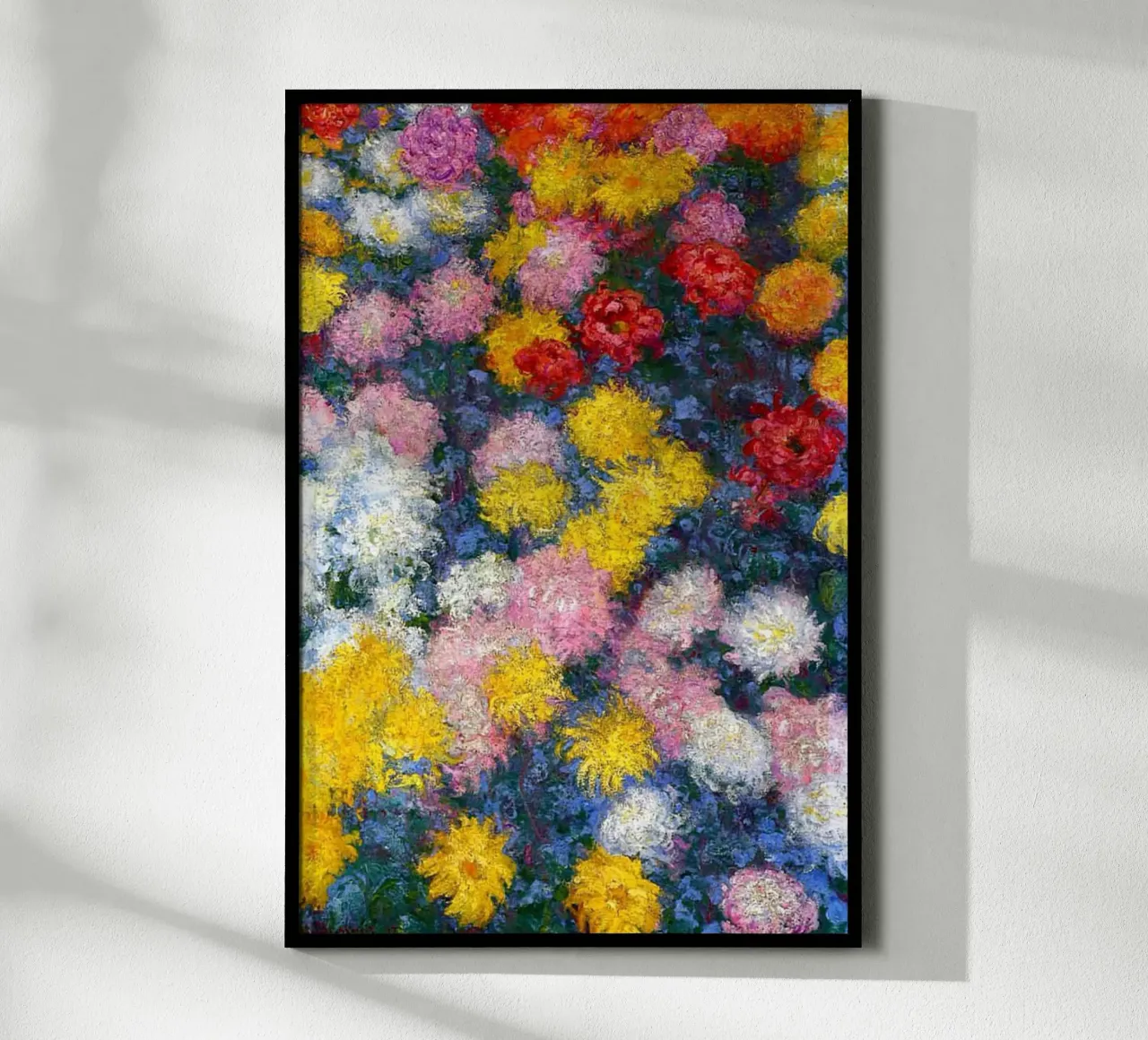crisantemi colorati poster da belong shop