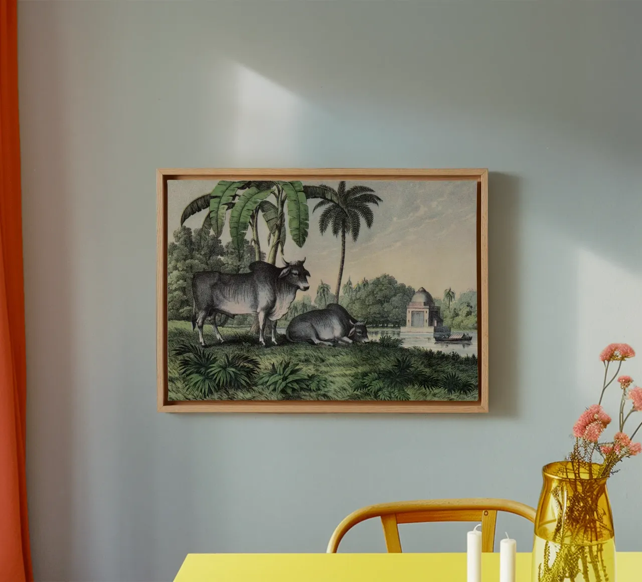 Vintage Kolb 1 Tafel 17 Zebu tela con Cornice a cassetta da Vintage Print Collection