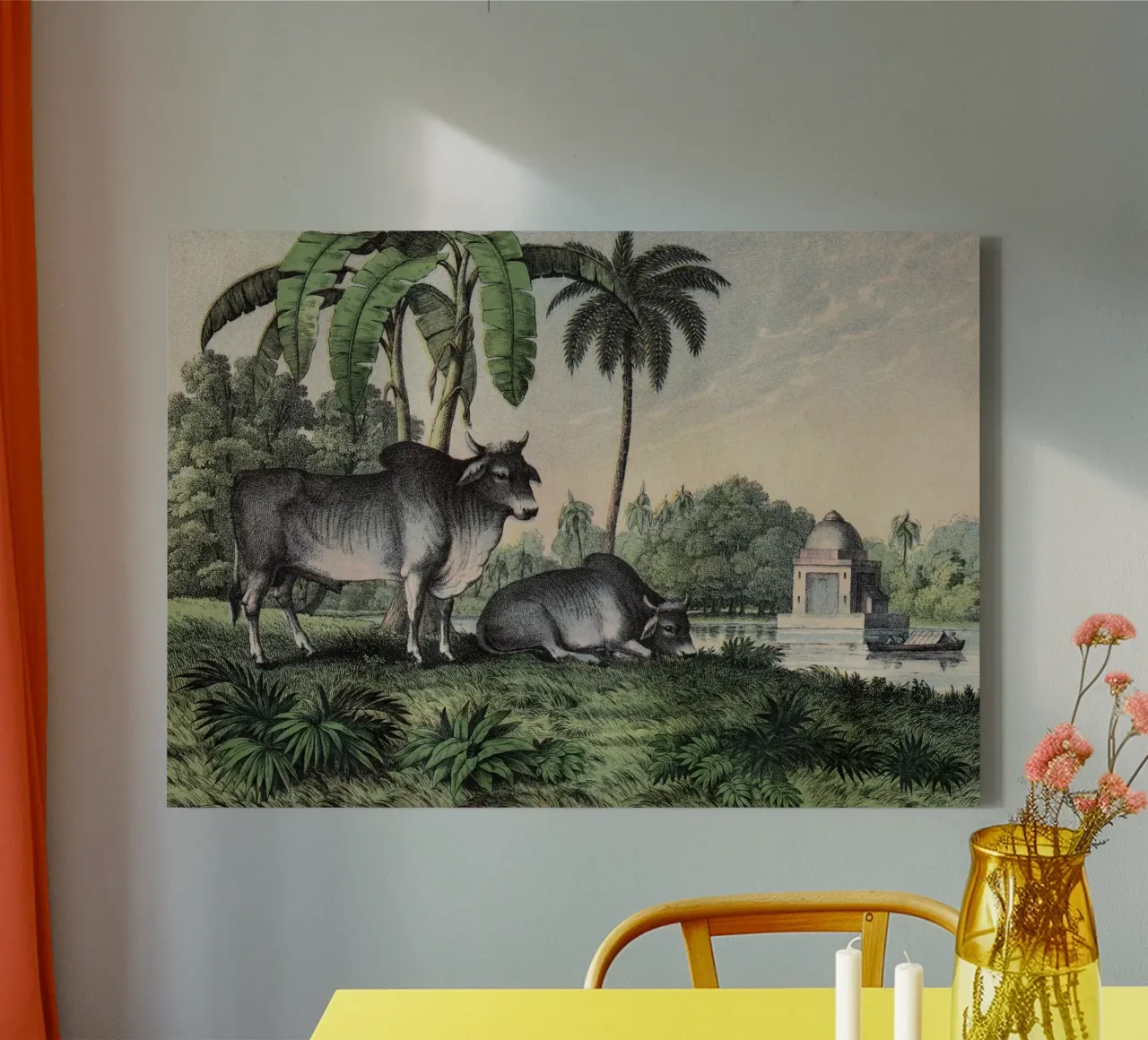 Vintage Kolb 1 Tafel 17 Zebu tela con Cornice a cassetta da Vintage Print Collection