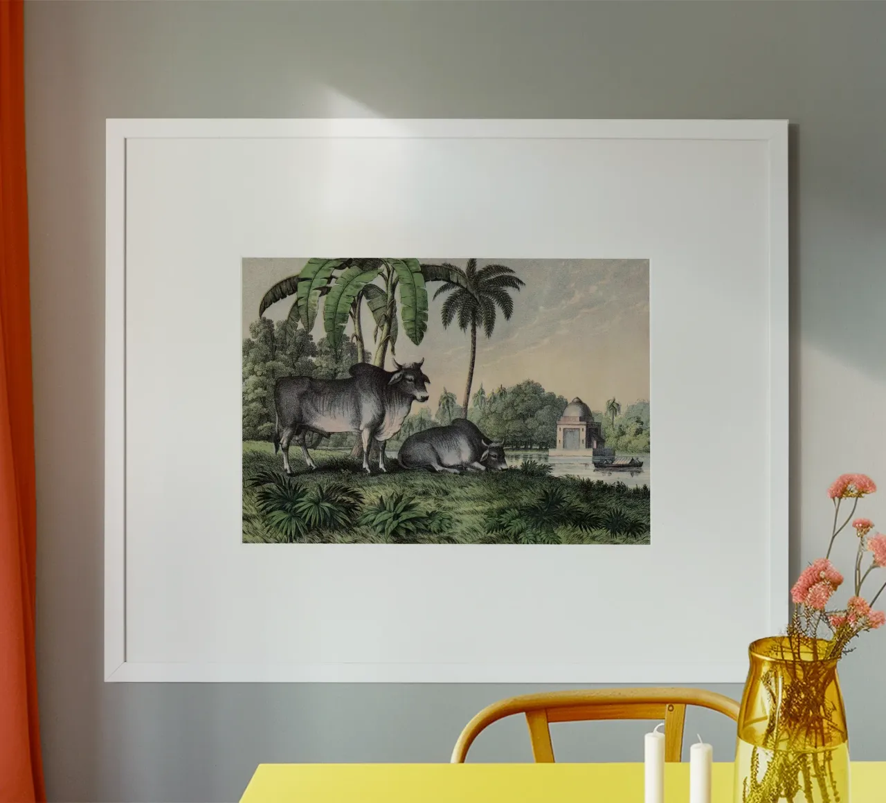 Vintage Kolb 1 Tafel 17 Zebu poster con telaio in legno da Vintage Print Collection