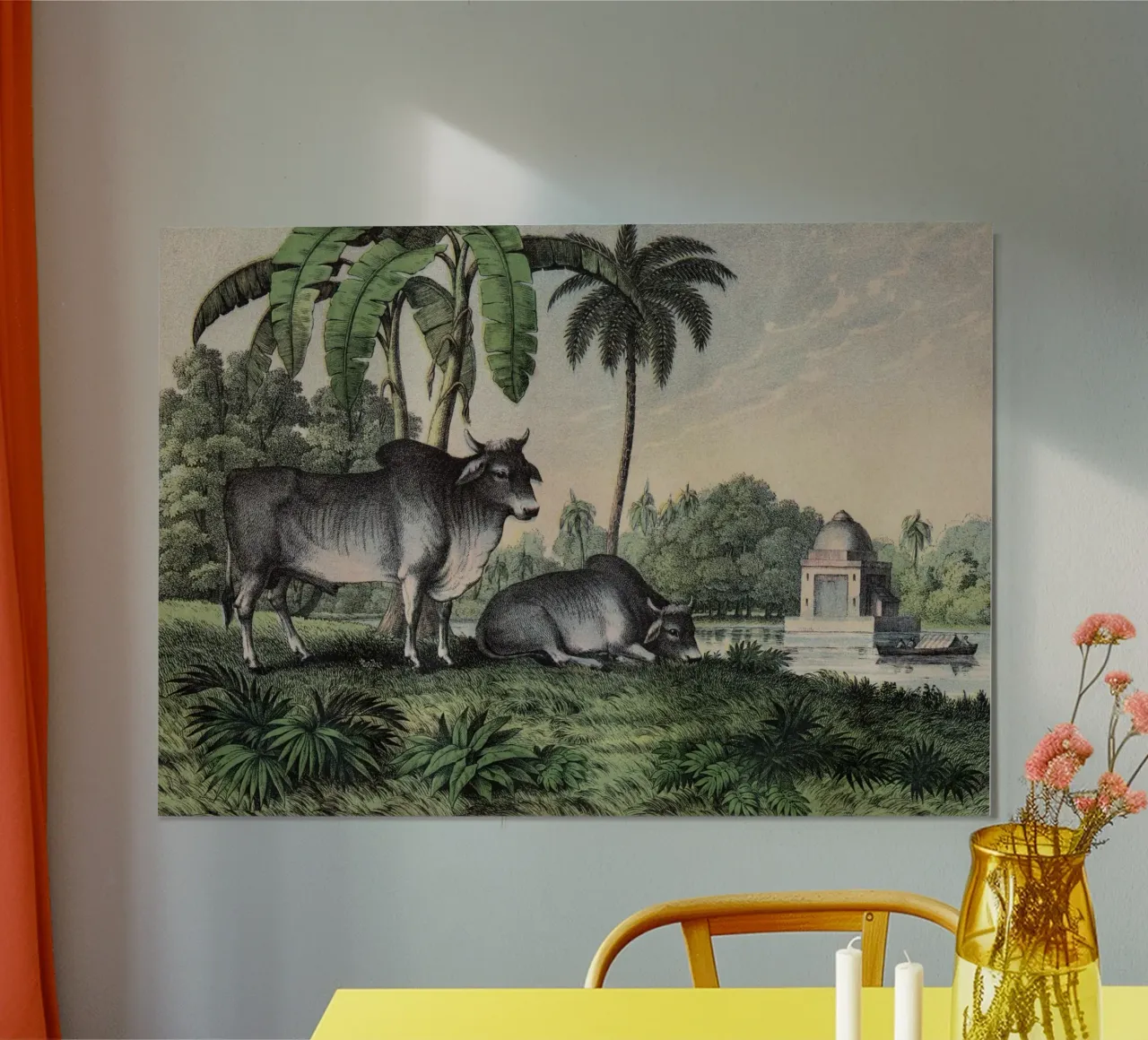 Vintage Kolb 1 Tafel 17 Zebu poster con telaio in legno da Vintage Print Collection