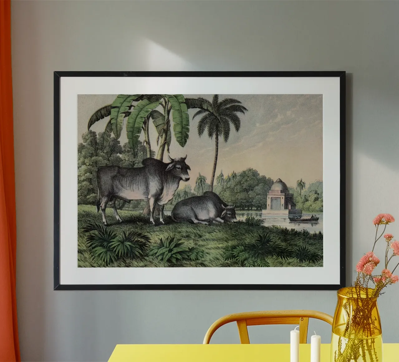 Vintage Kolb 1 Tafel 17 Zebu poster con telaio in legno da Vintage Print Collection